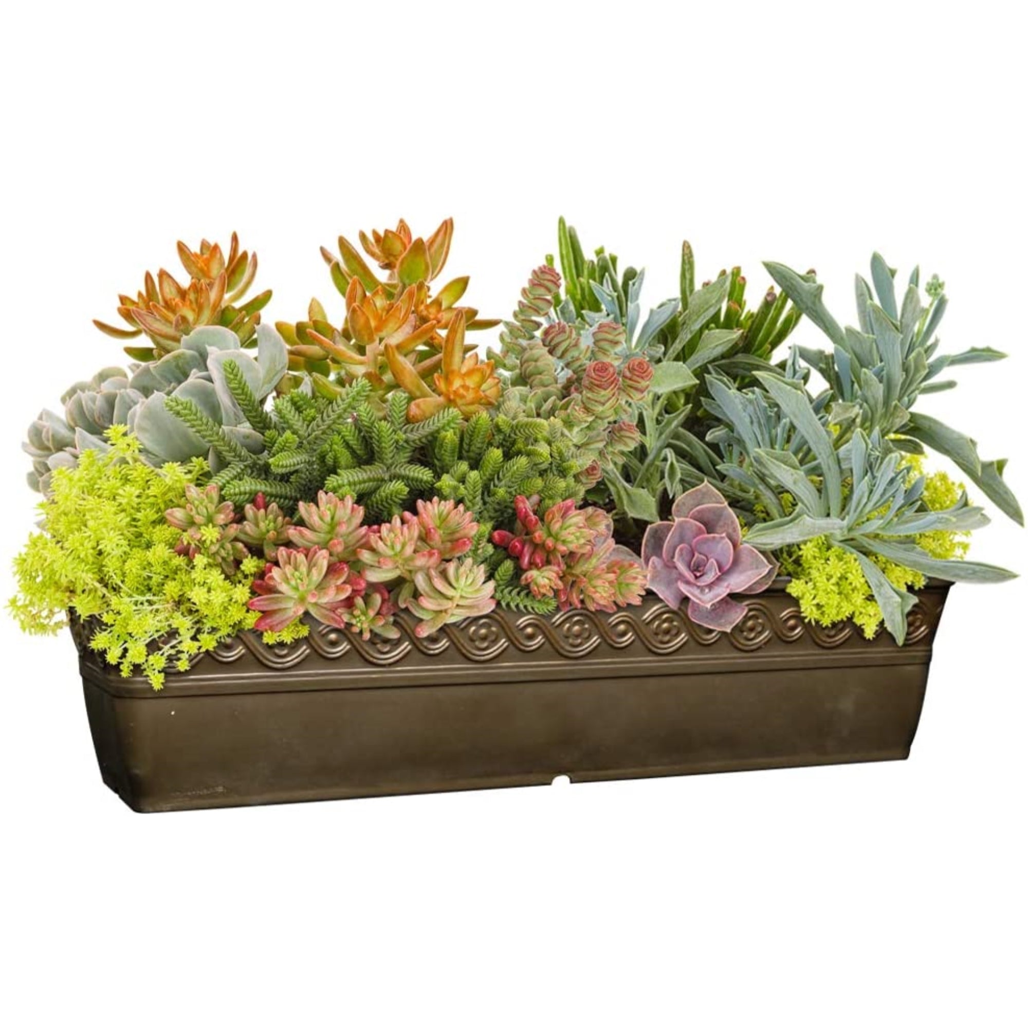 Classic Home and Garden Corinthian Resin Flower Pot Rectangle Planter, 18"