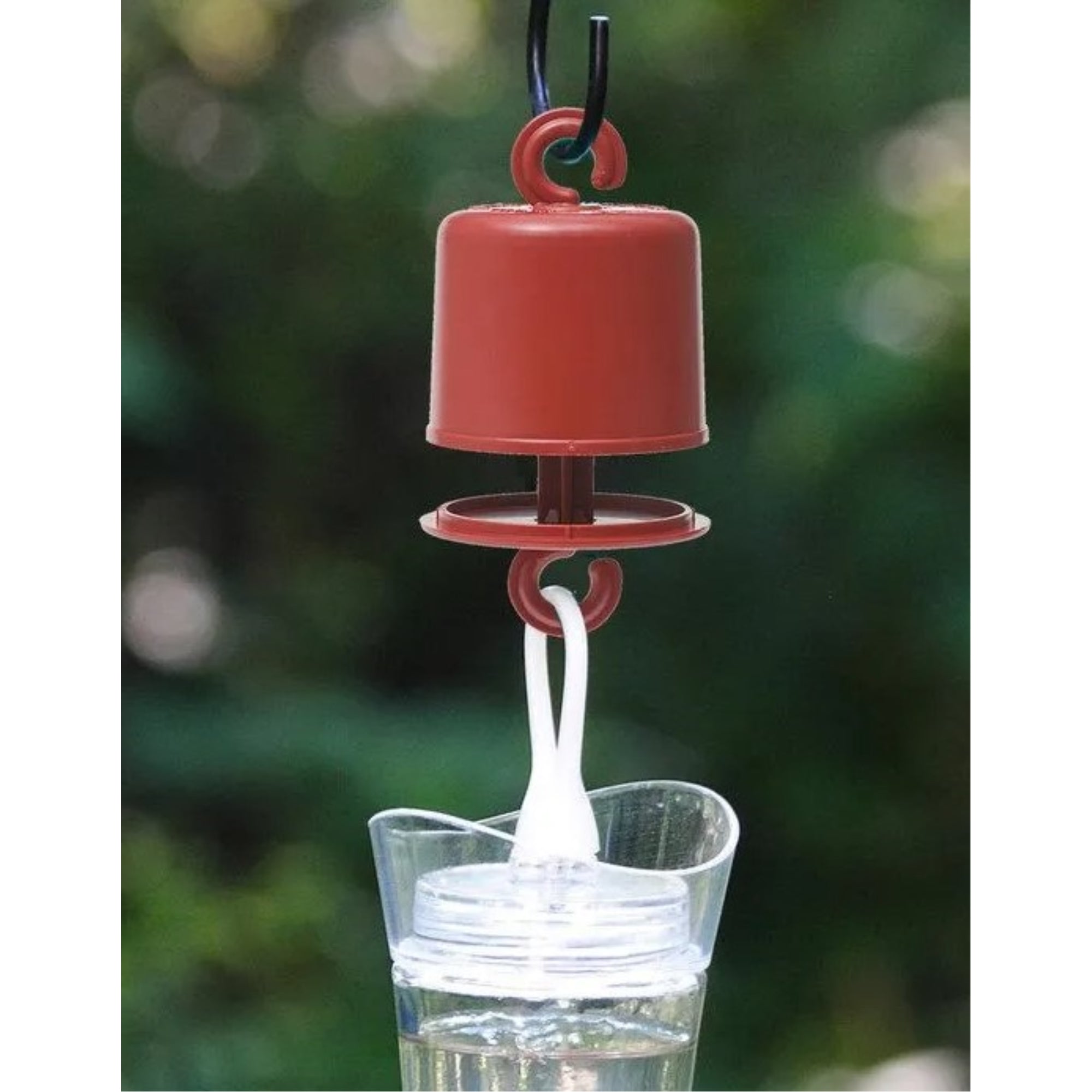 Perky Pet Red AntGuard for Hummingbird Feeders, Red