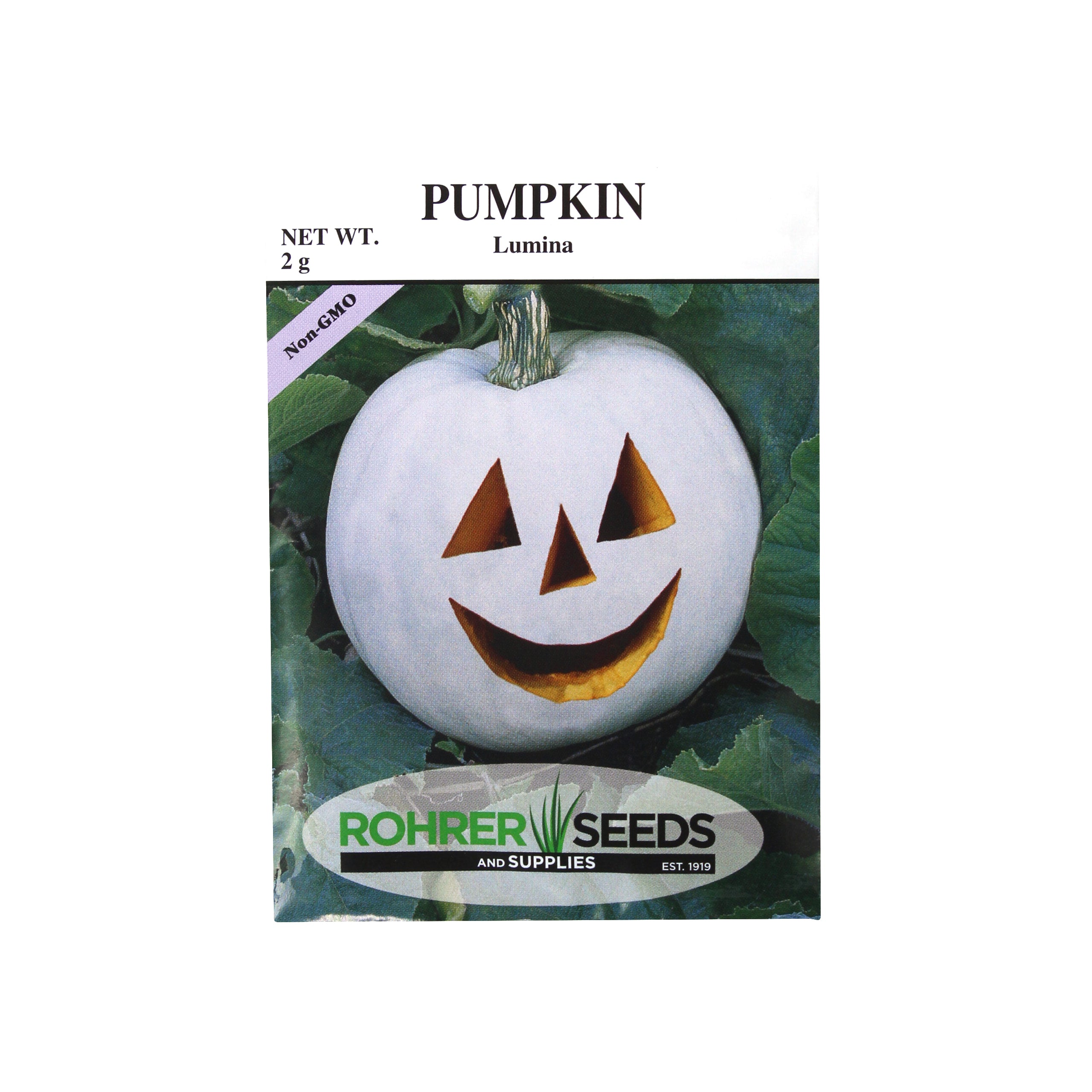 Rohrer Seeds Pumpkin, Lumina, 2g, Approx 10 Seeds/Packet