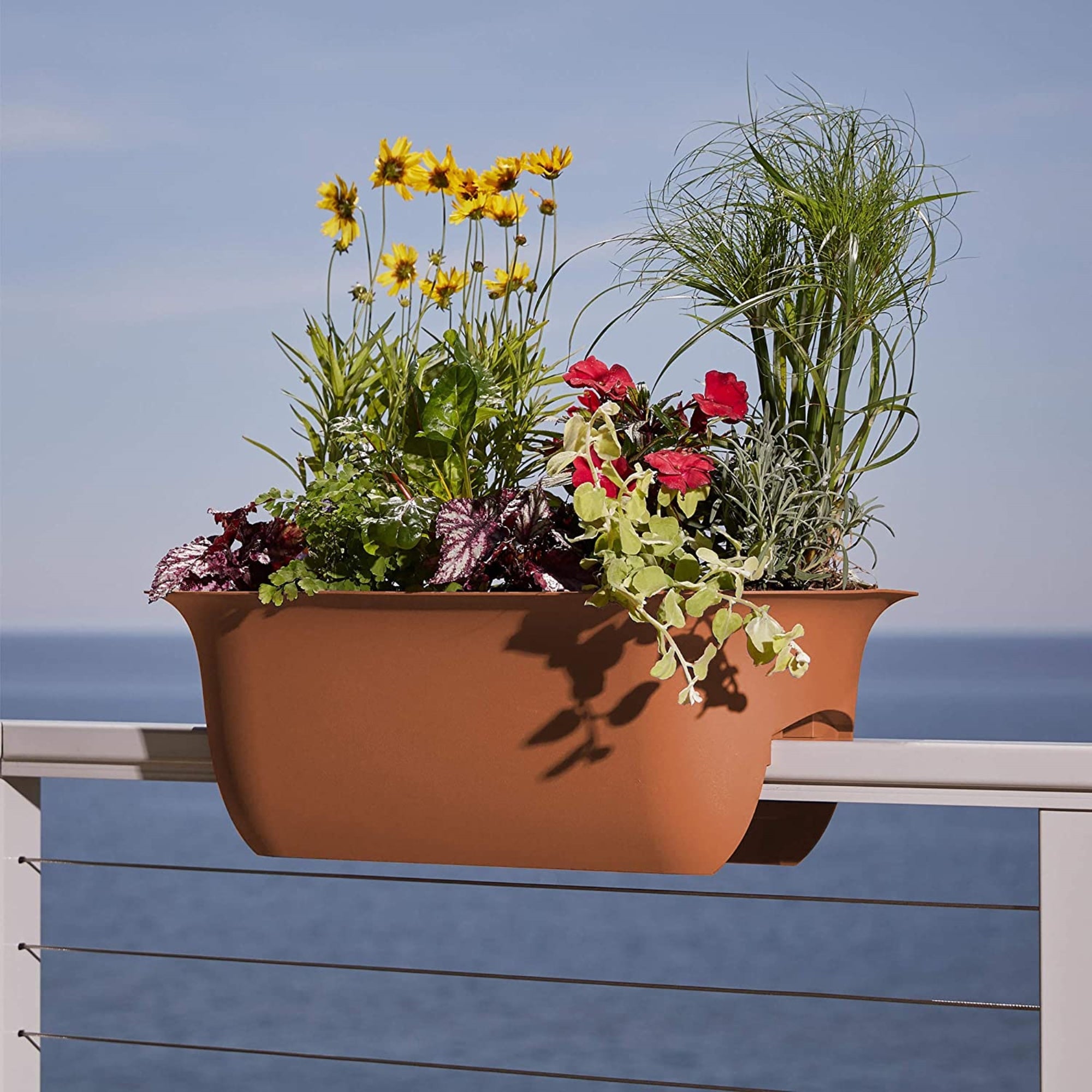 Bloem Modica Rail Planter, 24-inches