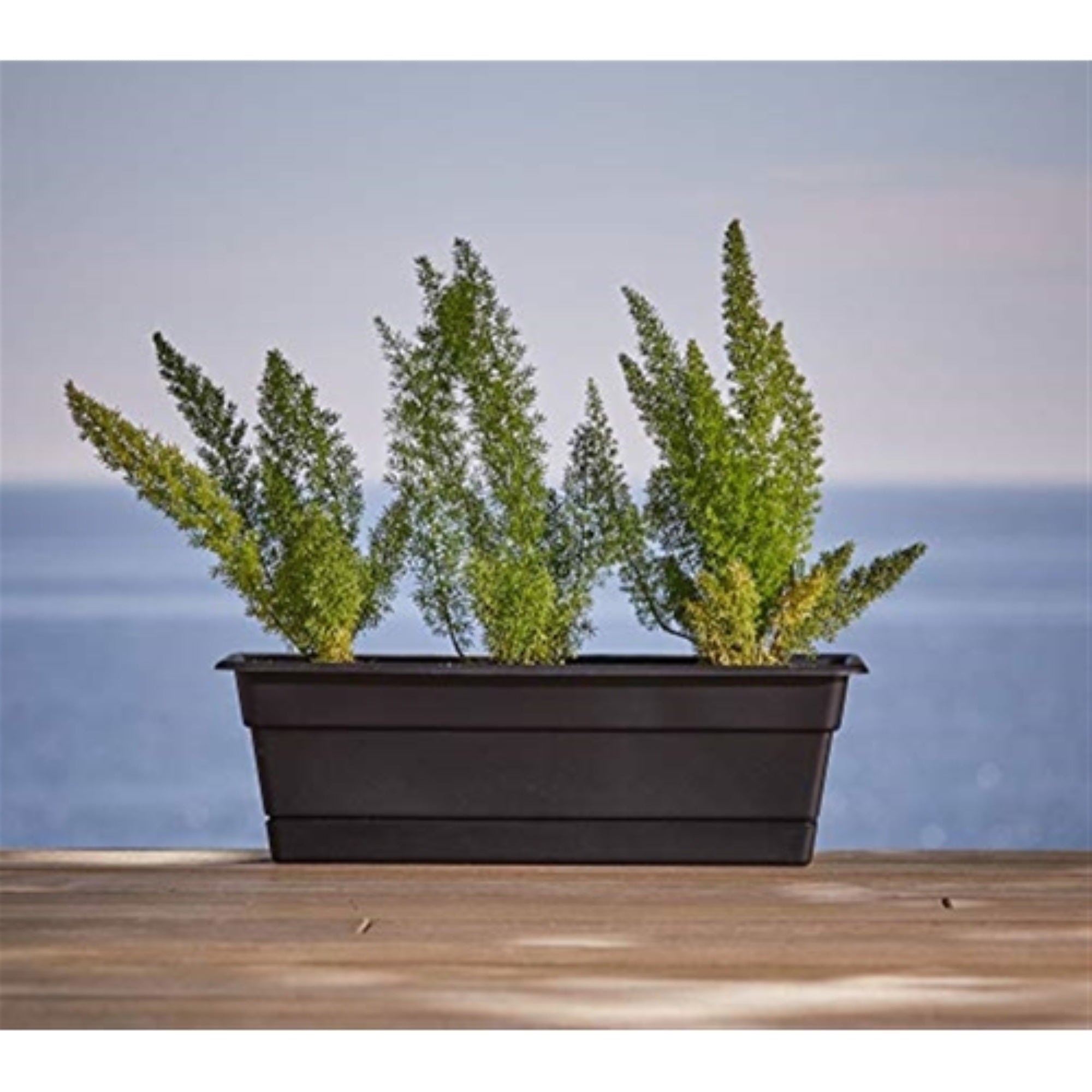 Bloem Indoor/Outdoor Plastic Dura Cotta Window Box Planter