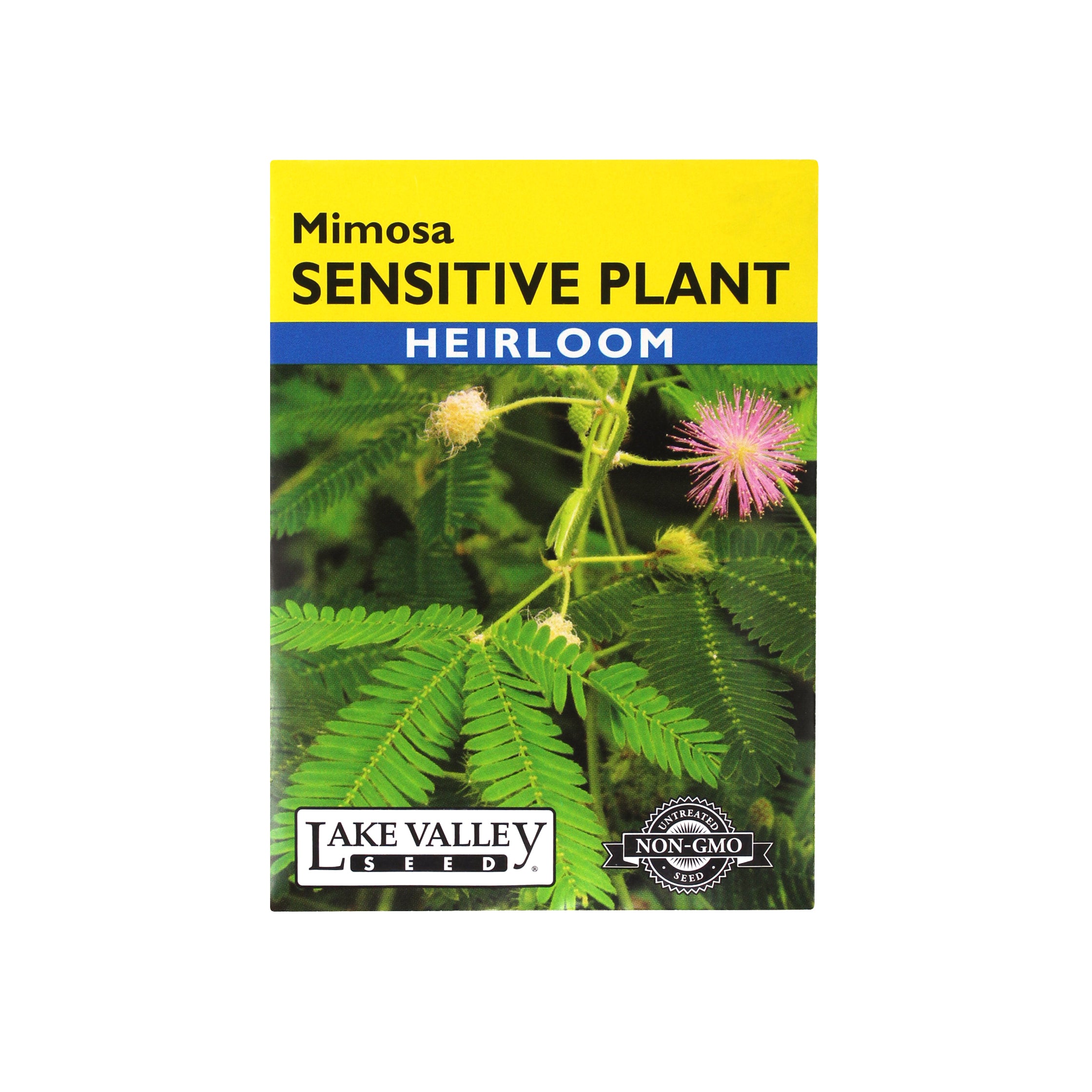 Lake Valley Seed Sensitive Plant, Mimosa Heirloom, 0.5g
