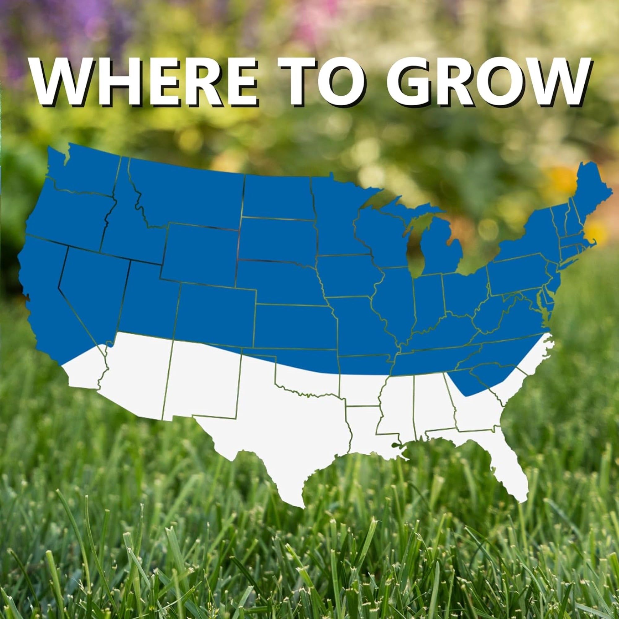 Jonathan Green Black Beauty Biodegradable Grass Seed Roll, 50 Sq Ft