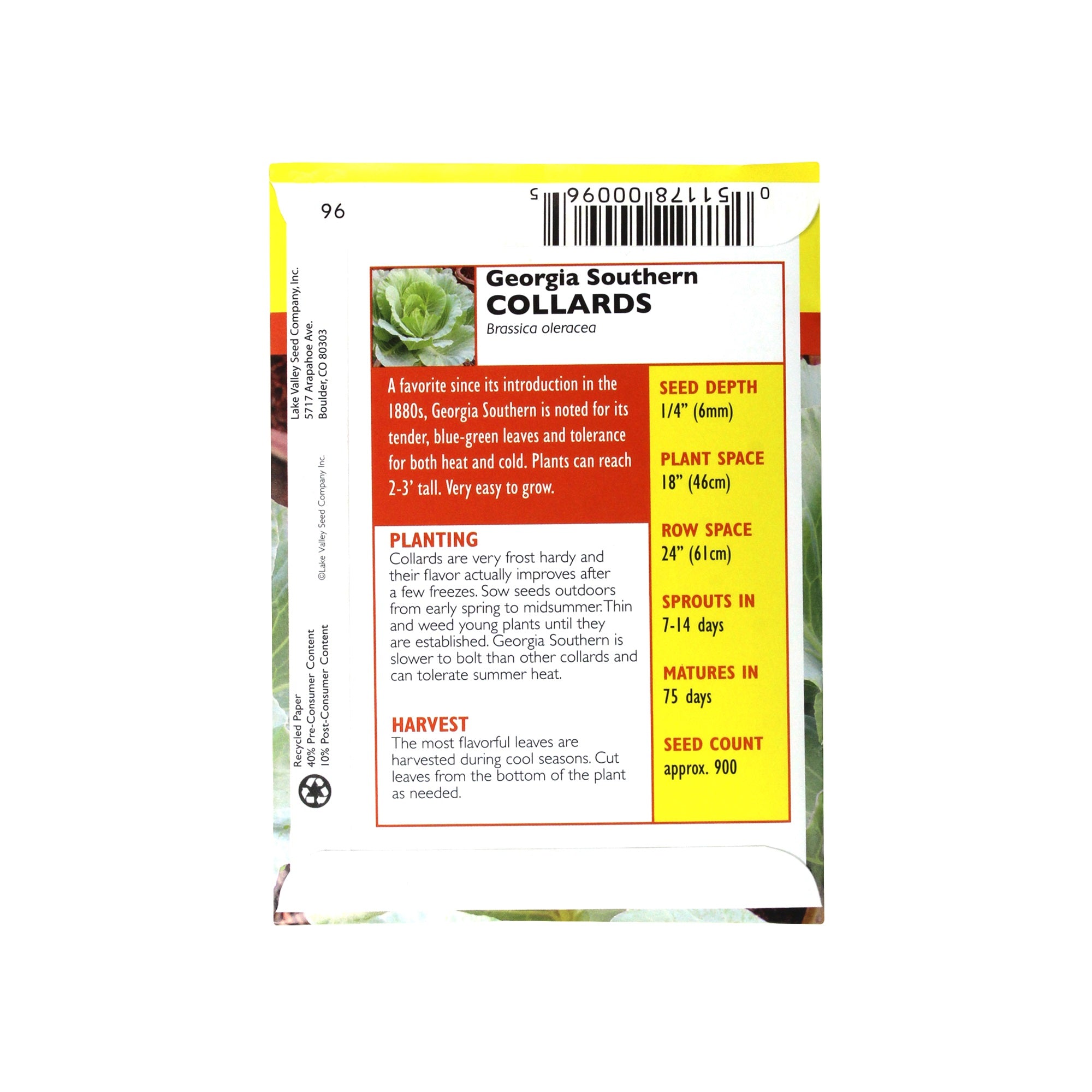 Lake Valley Seed Collards, Georgia Southern Heirloom