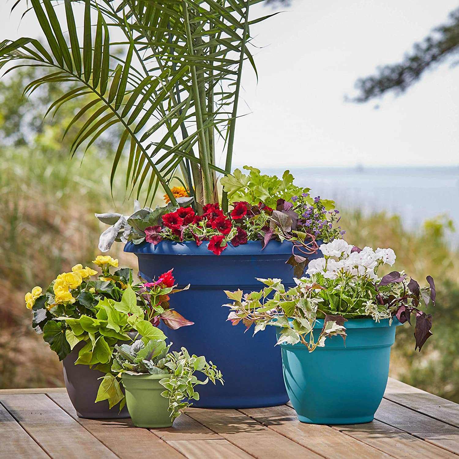 Bloem Ariana Plastic Flower Planter with Self-Watering Disk