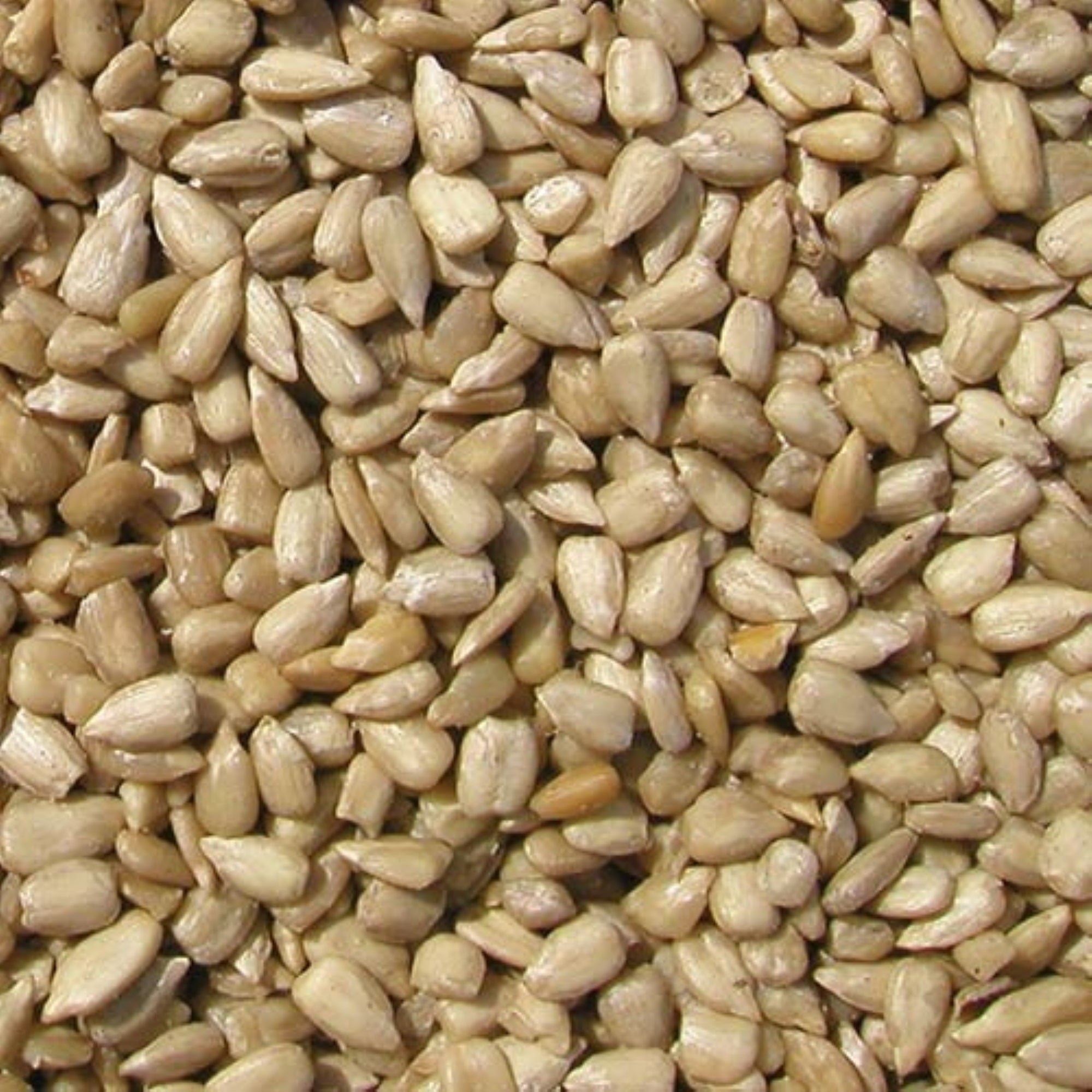 Cole's Sunflower Meats for Wild Bird Seed