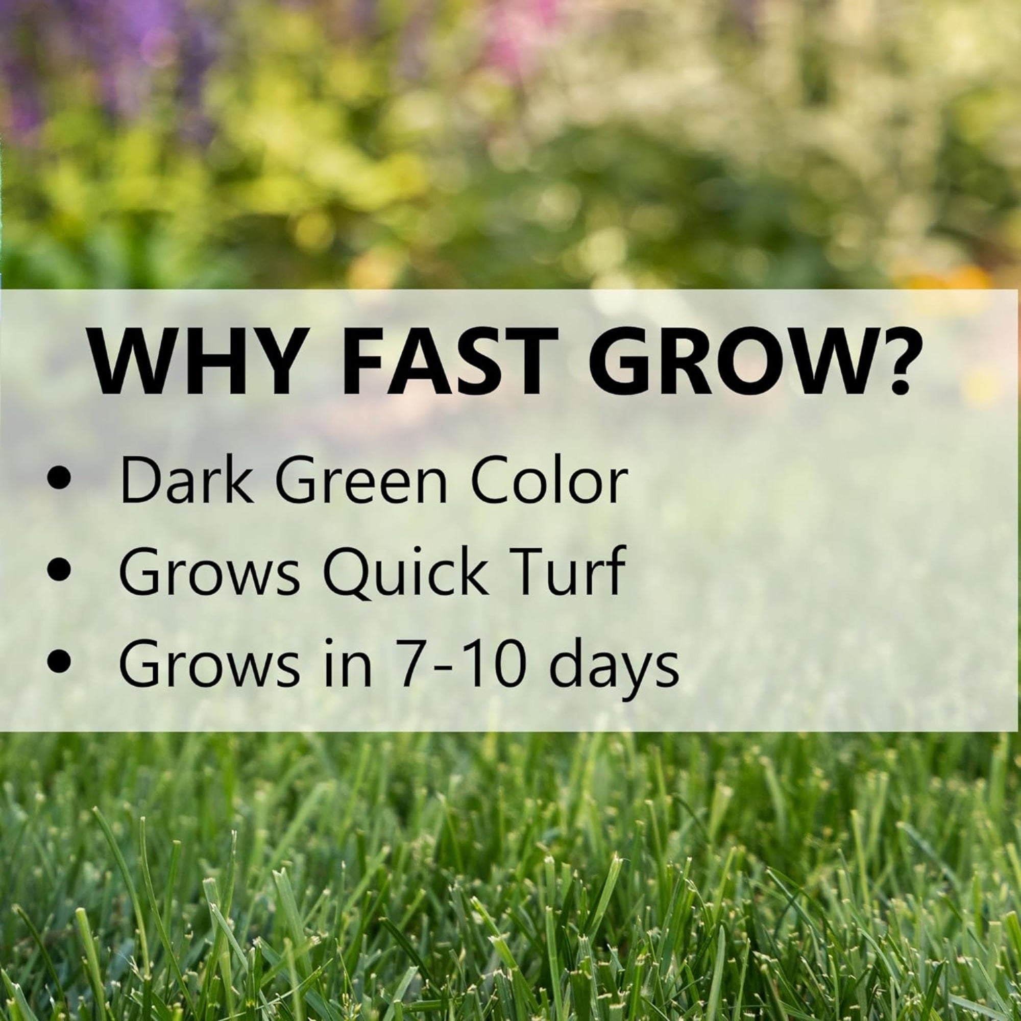 Jonathan Green Fast Grow Grass Seed Mixture