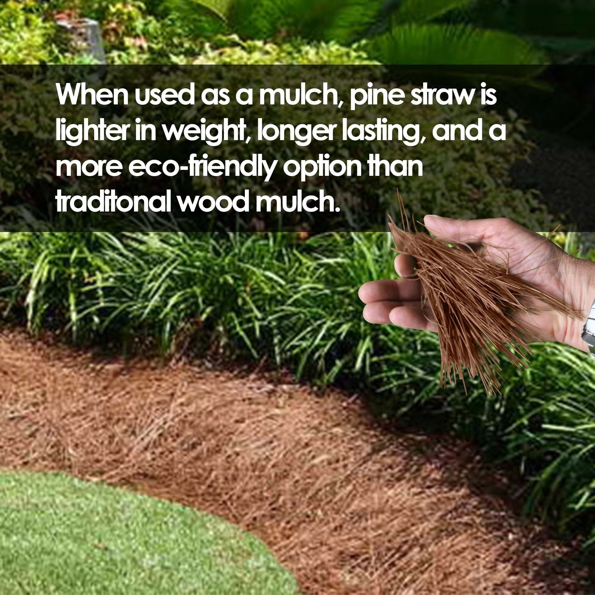 Garden Elements Long Leaf Pine Straw Bale for Mulch, Soil Amendment and Fall Decoration, 24.5"