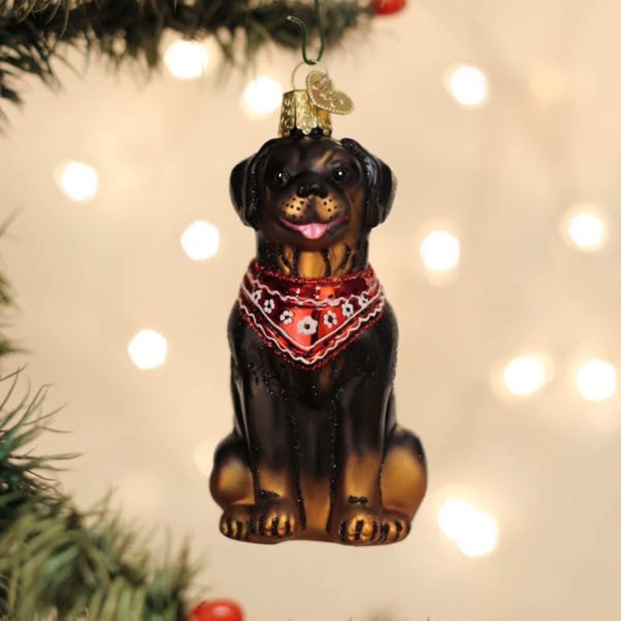 Old World Christmas Blown Glass Ornament for Christmas Tree, Rottweiler (with OWC Gift Box)
