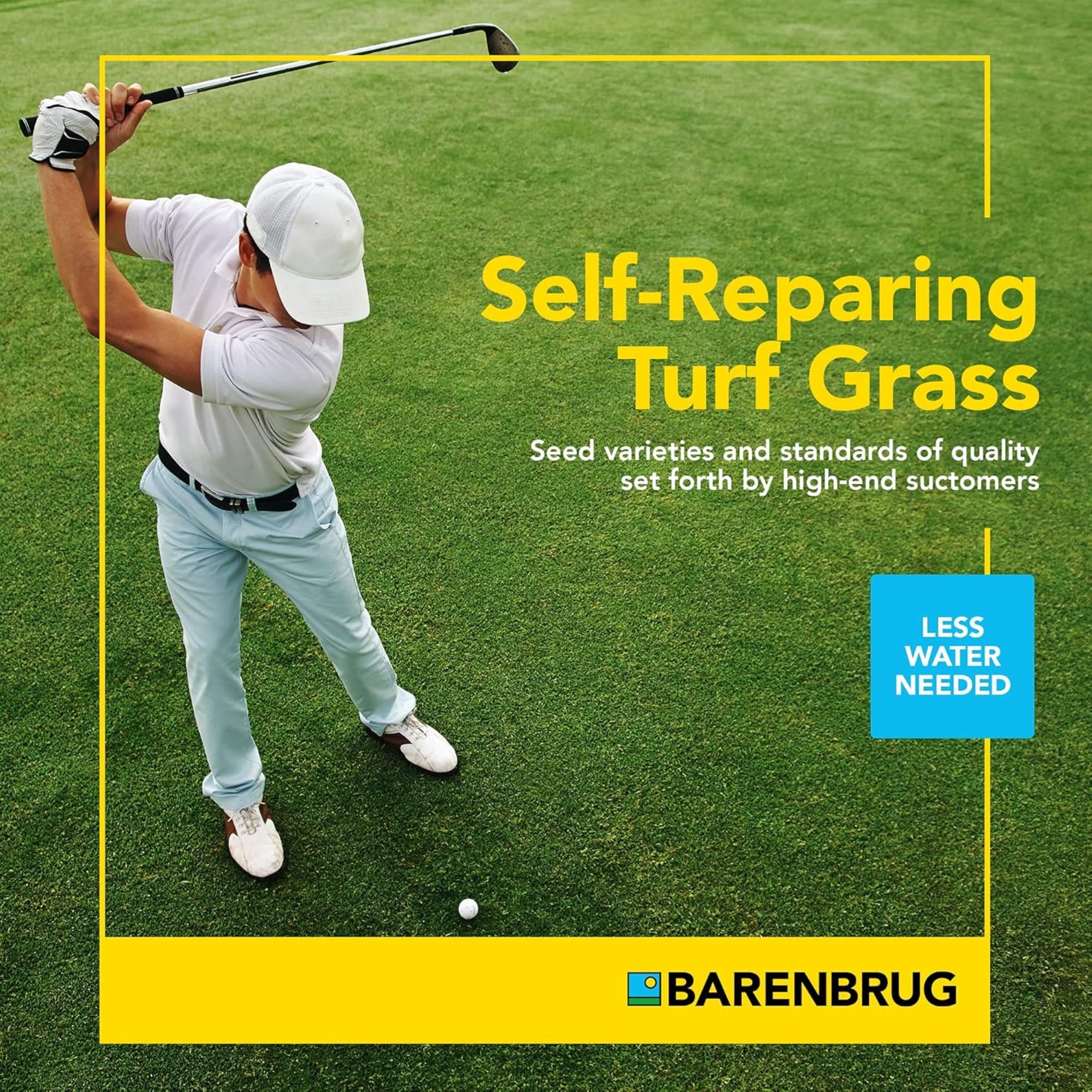 Barenbrug Turf Star RPR Grass Seed with Yellow Jacket Coating, 25lb