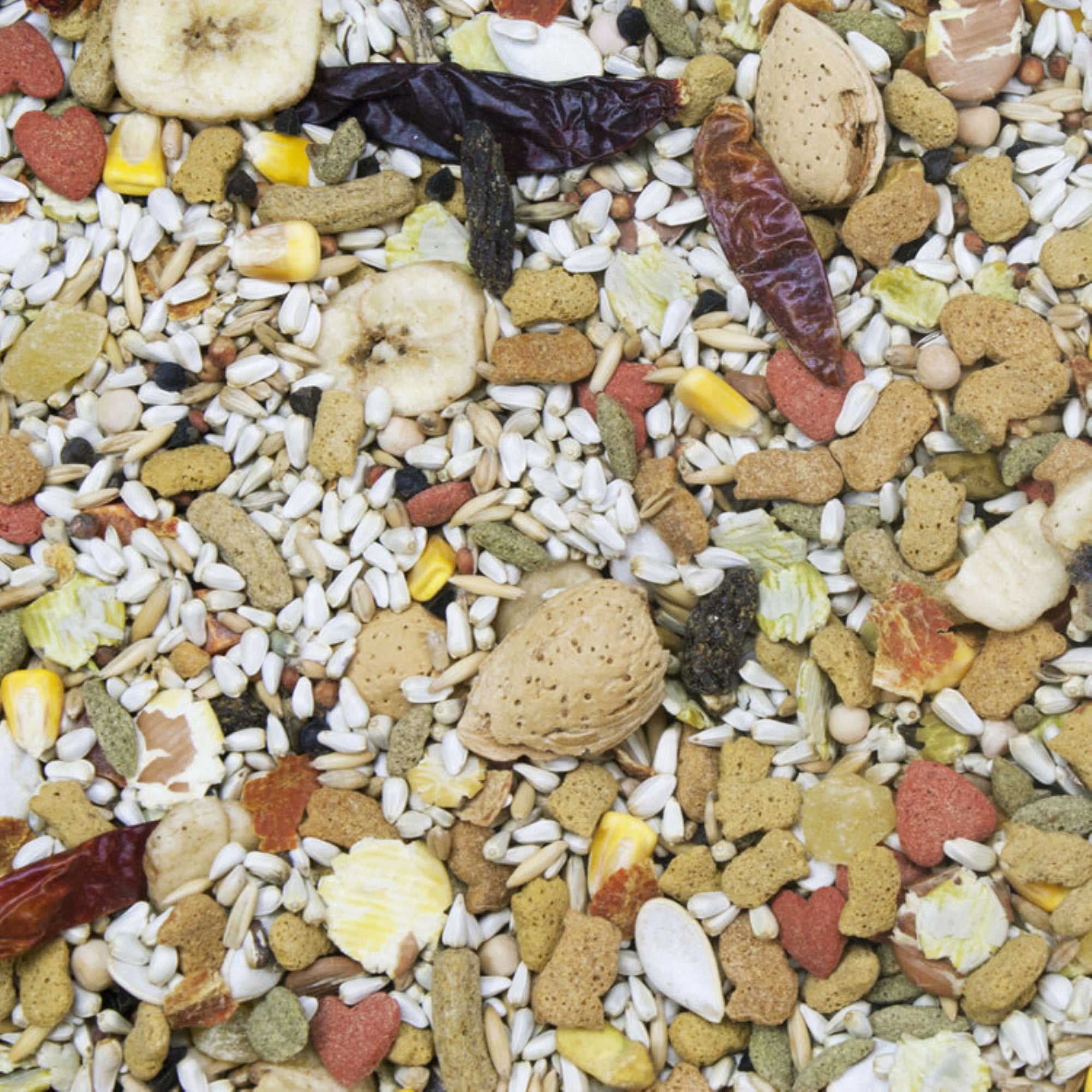 Higgins Vita Seed California Blend Sunflower-Free Bird Food for Parrot