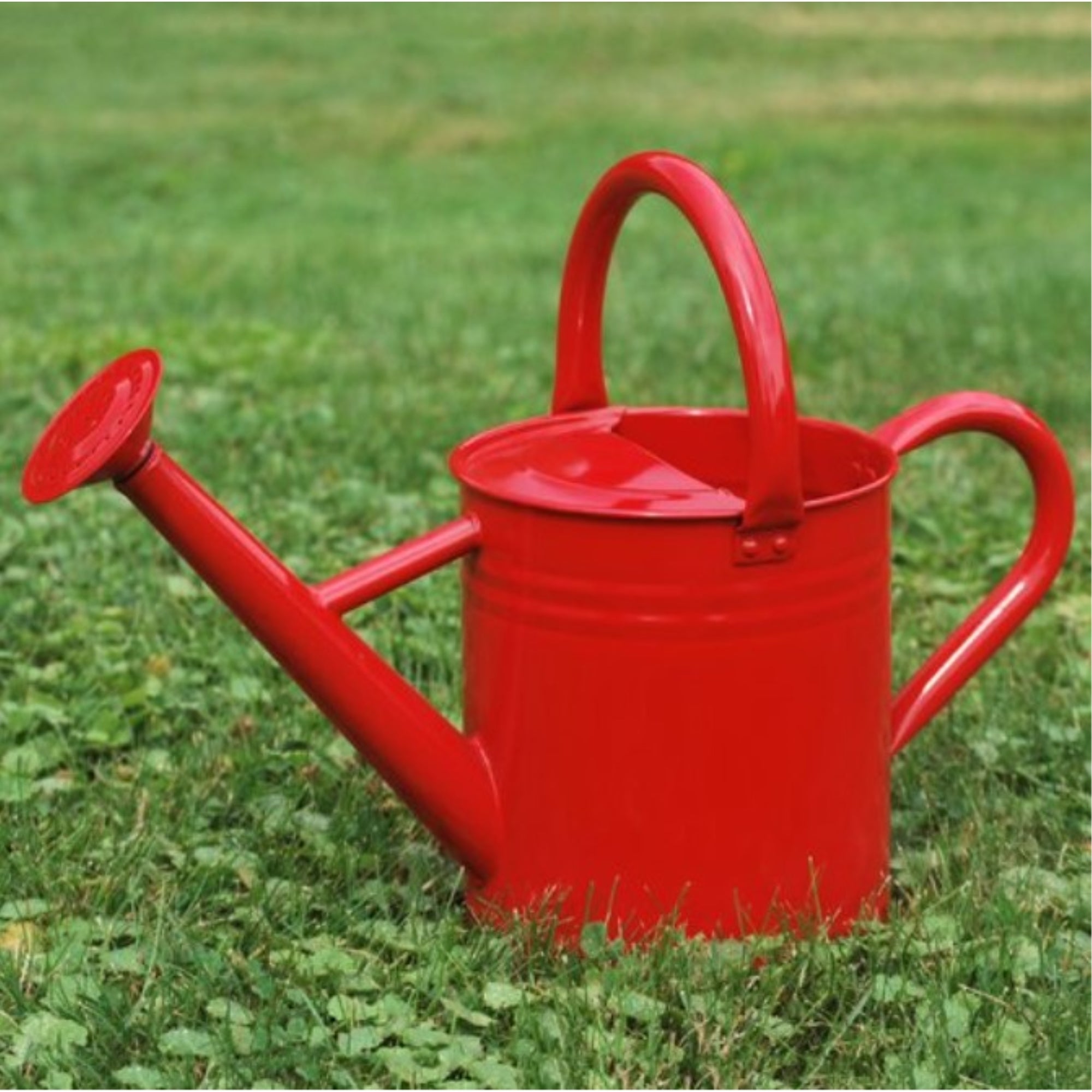 Gardener Select Monochromatic Series Metal Watering Cans