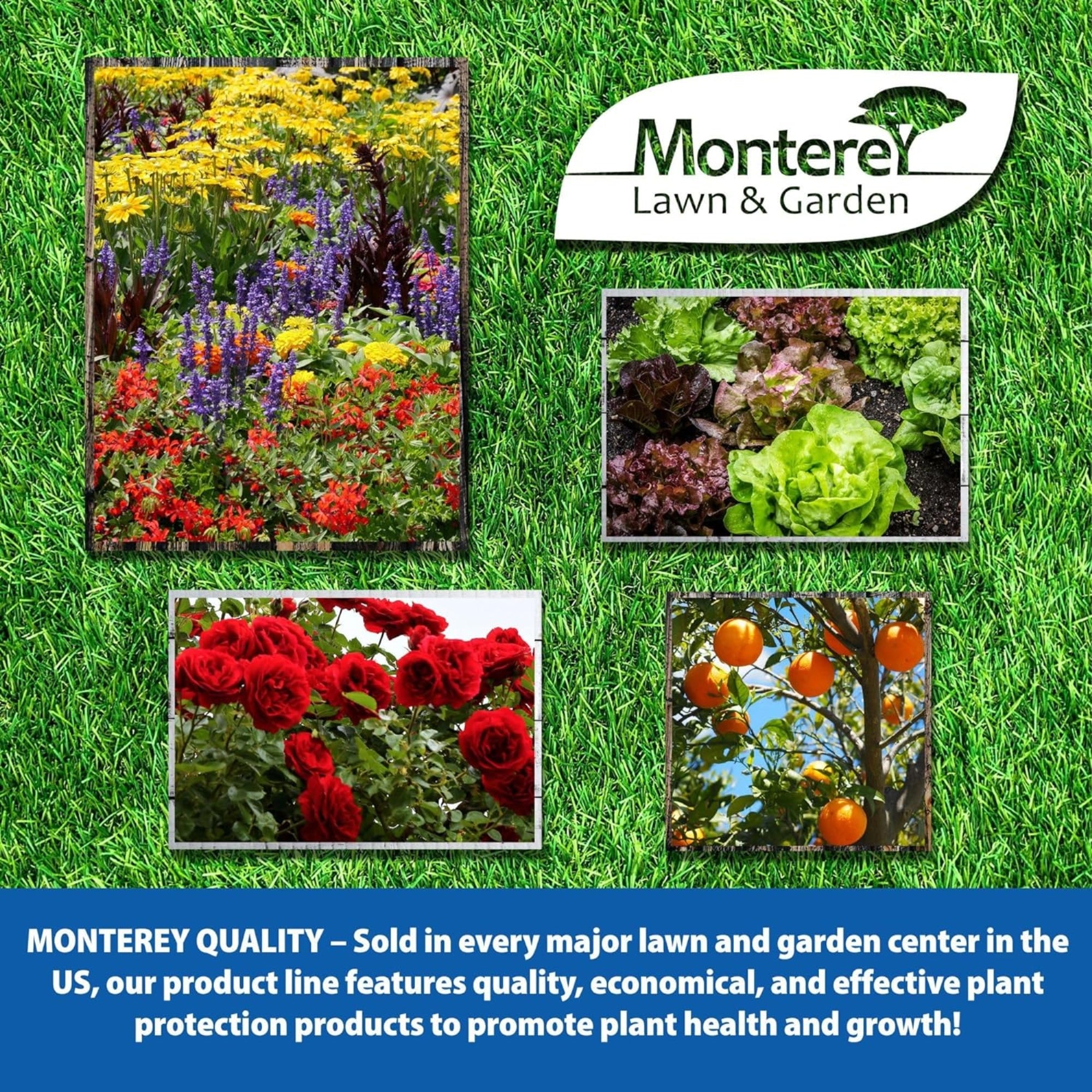 Monterey Iron Combo 1-0-2 Fertilizer Concentrate, 4% Iron Plus Micronutrients