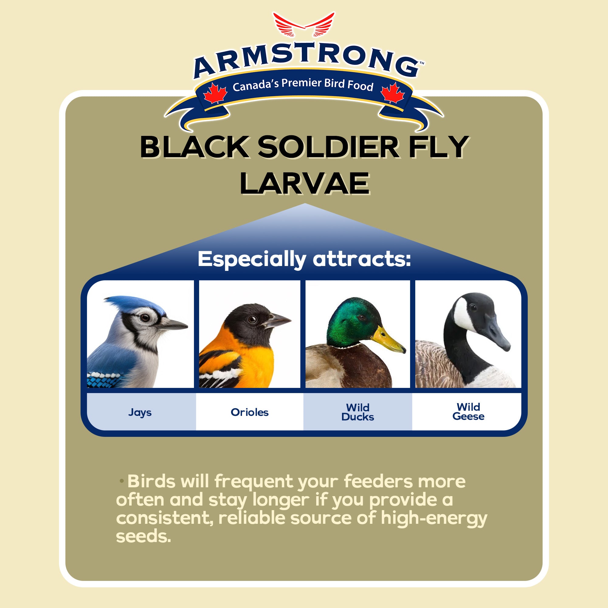 Armstrong Wild Bird Food Black Soldier Fly Larvae, 4lbs