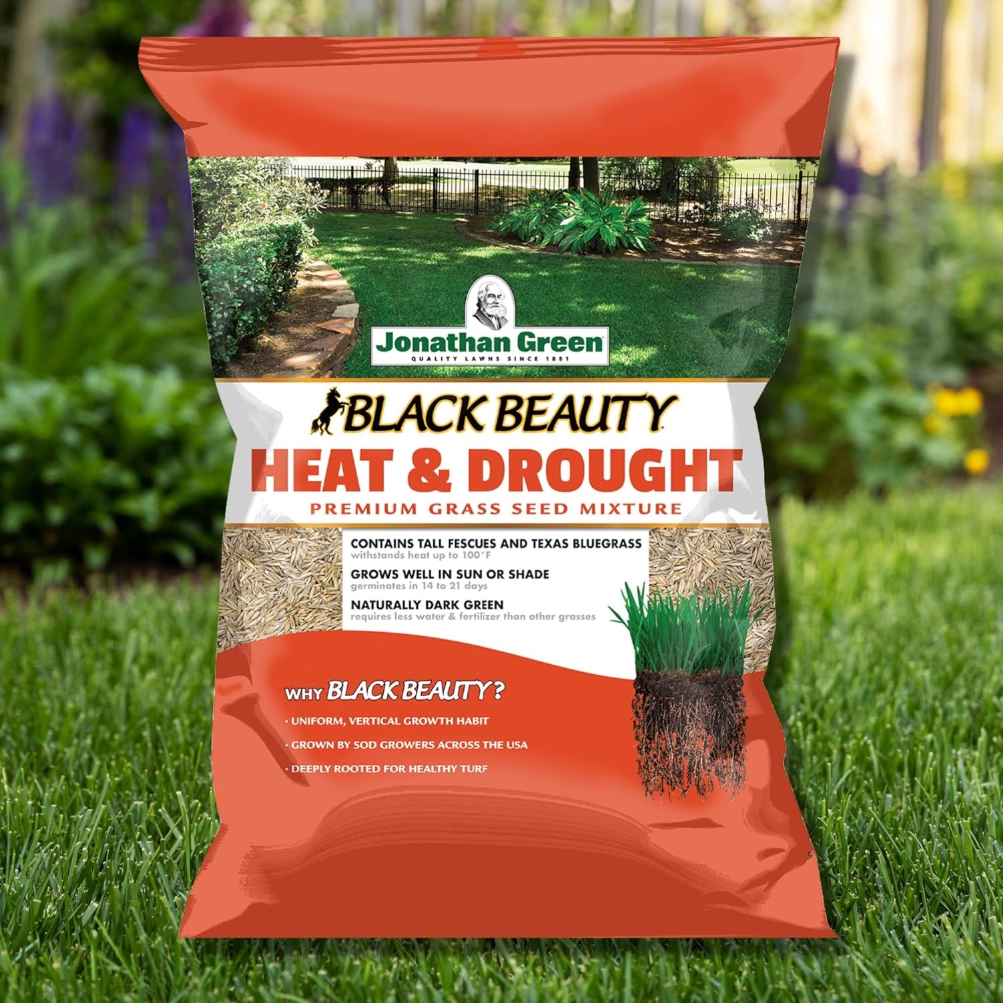 Jonathan Green Black Beauty Heat & Drought Resistant Grass Seed Mix