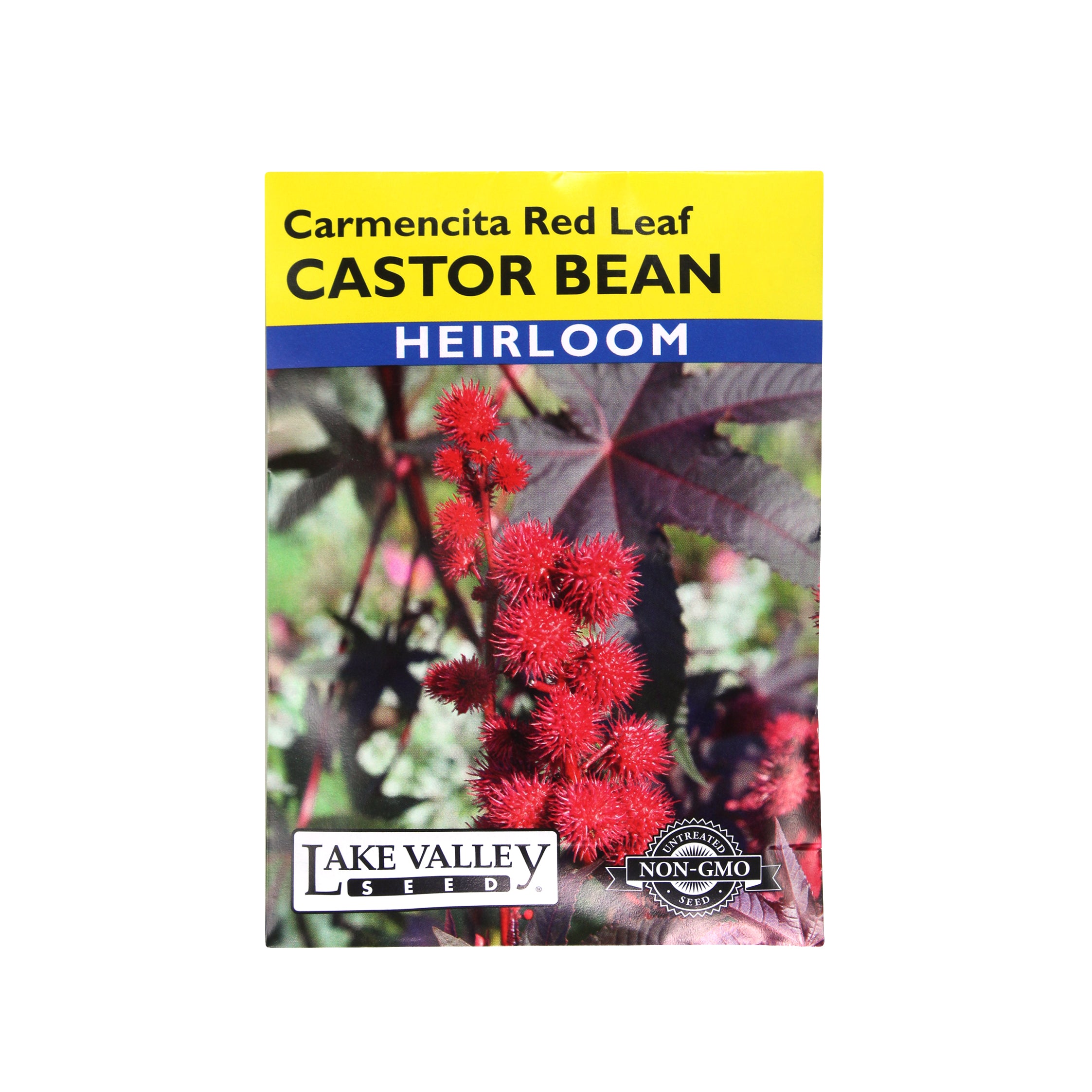 Castor Bean Carmencita Red Leaf