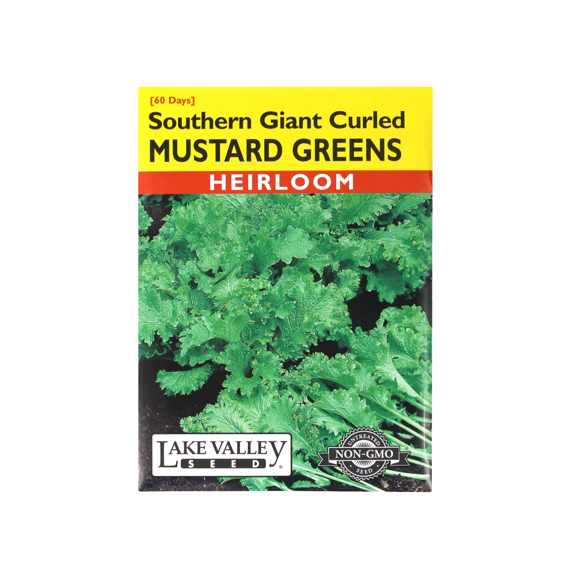 Mustard Southern Giant Curled
