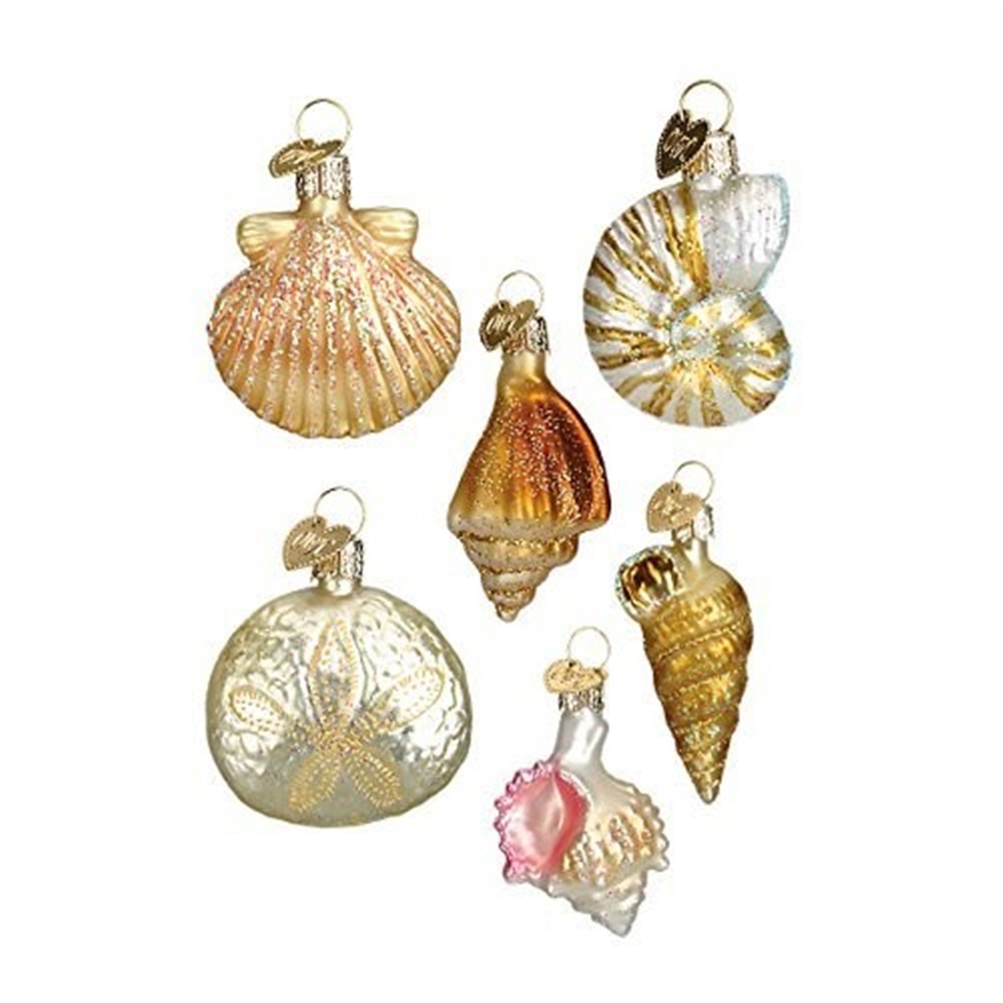 Old World Christmas Hanging Ornament - 6 Piece Assorted Sea Shell Set