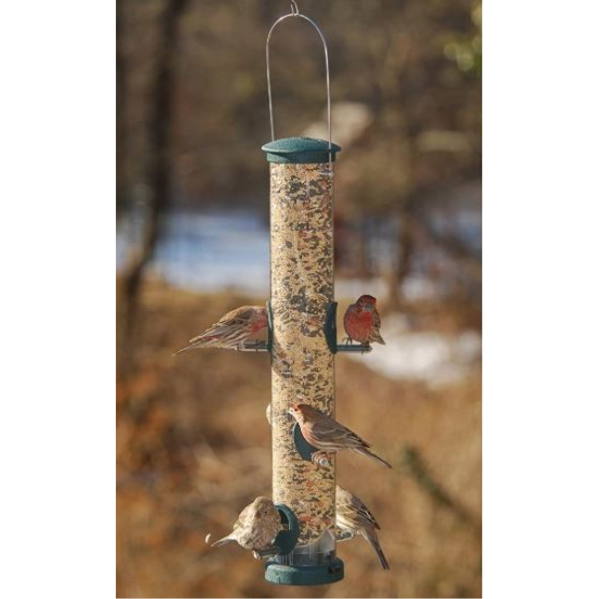 Aspects Quick-Clean Seed Tube Bird Feeder, Large, Spruce, 1.75qt Capacity