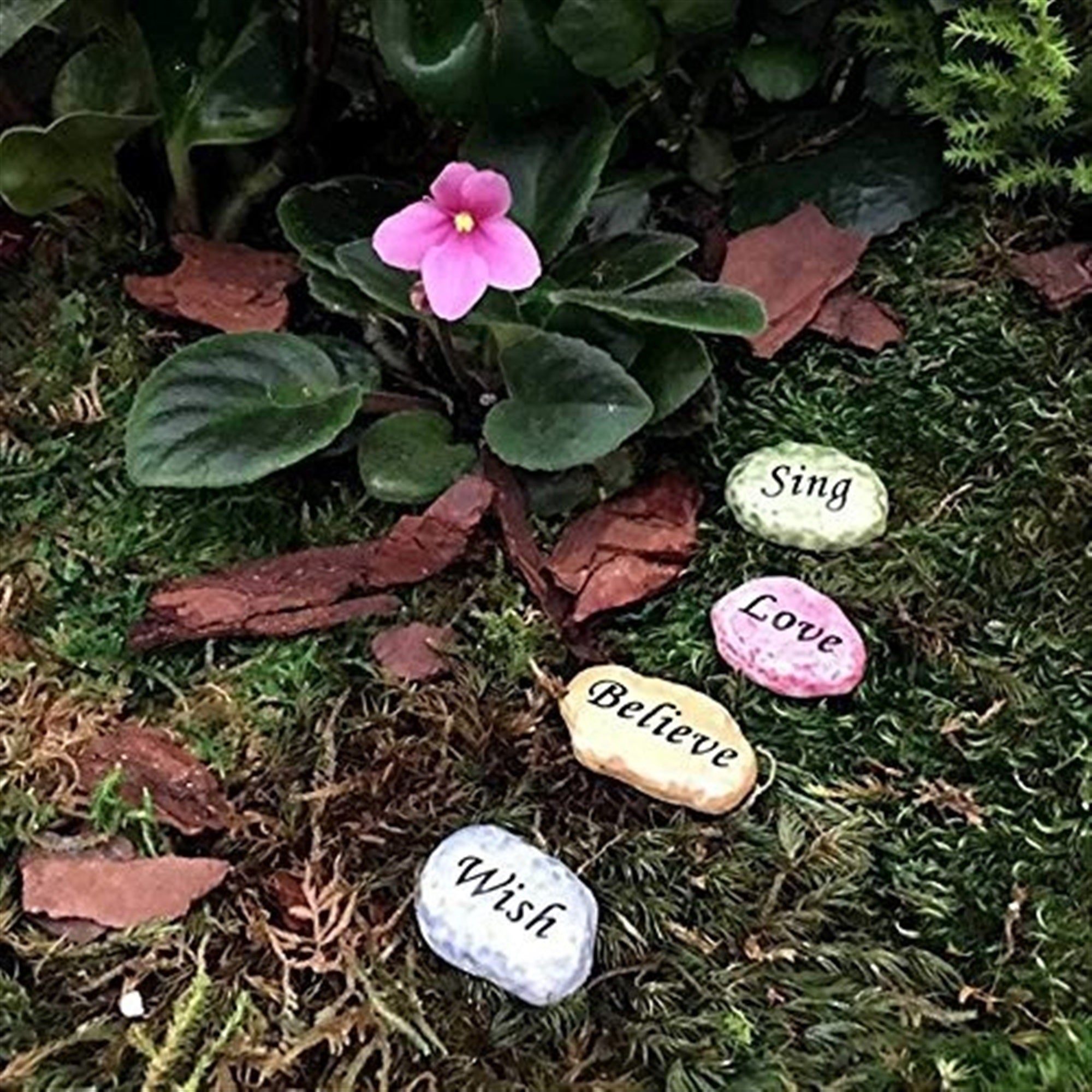 Flower Fairies Secret Garden - Set of 4 Stepping Stones
