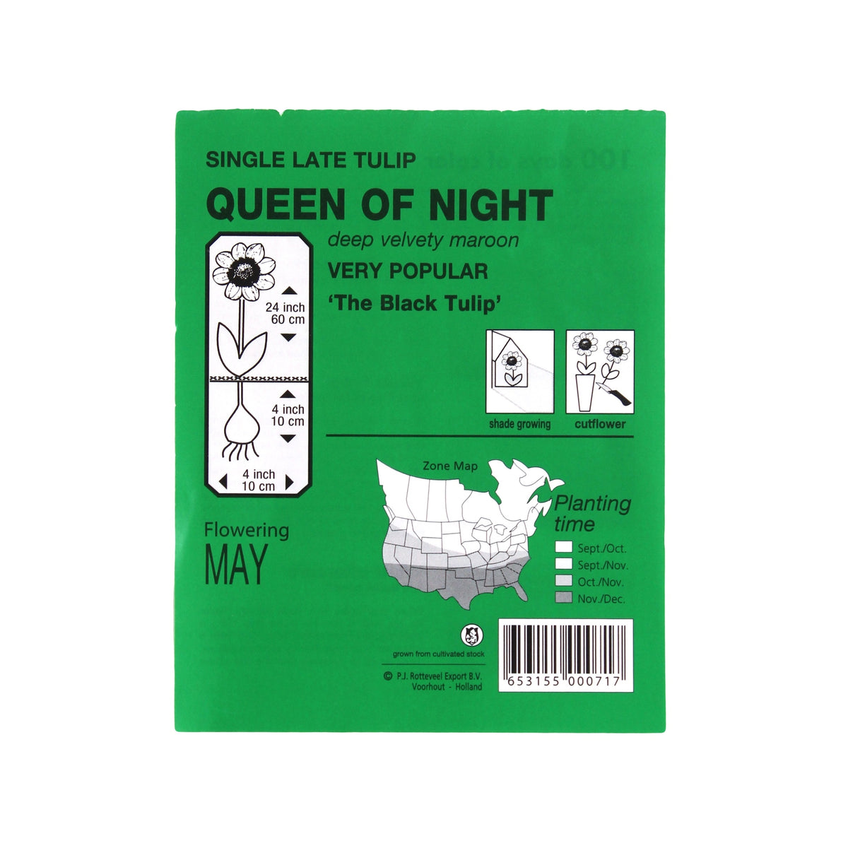 Garden Elements Spring Blooming Bulbs – Tulip Queen of Night Single Late – 10 Pack