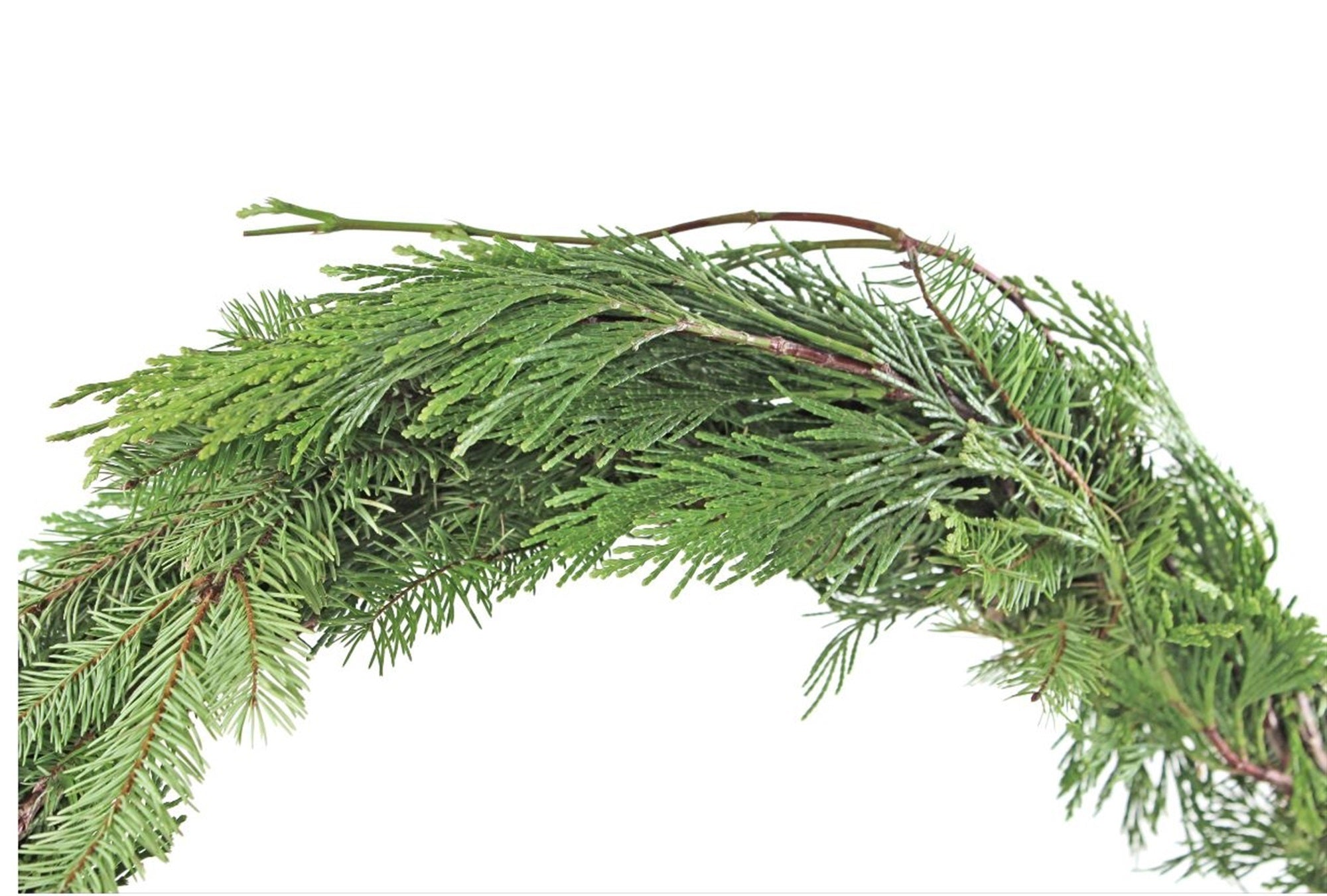 Garden Elements Fresh Live Christmas Holiday Decorative Greens Rope Garland, Cedar Douglas Mixed, 25'