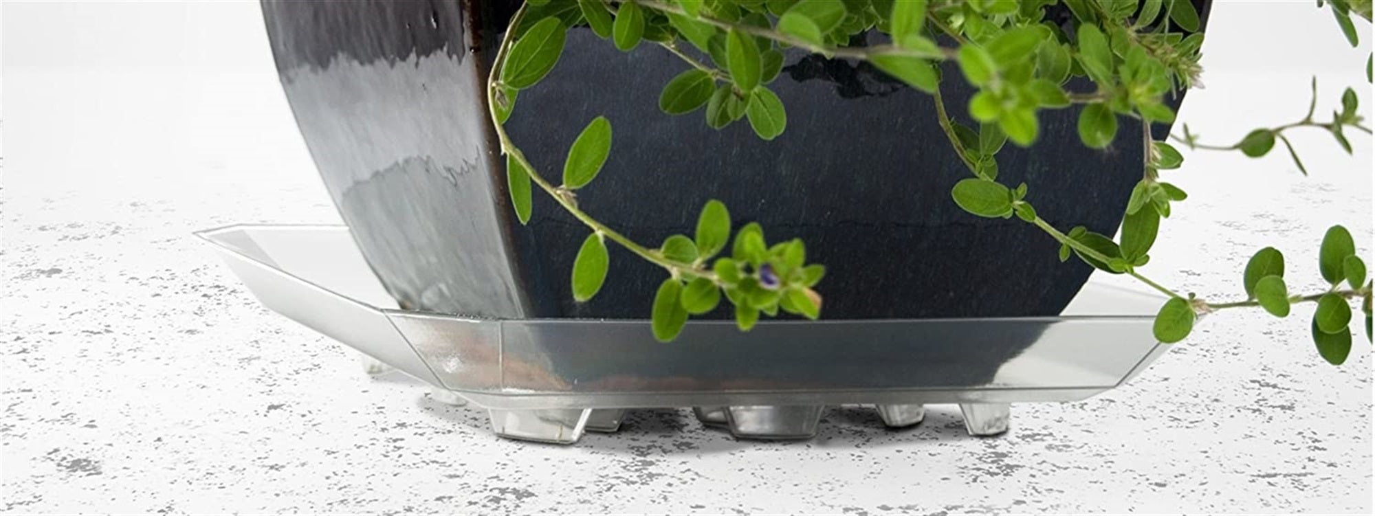 Plastec (#PLISQR111) Square Saucer, Clear Recycled Plastic, 11” Diameter