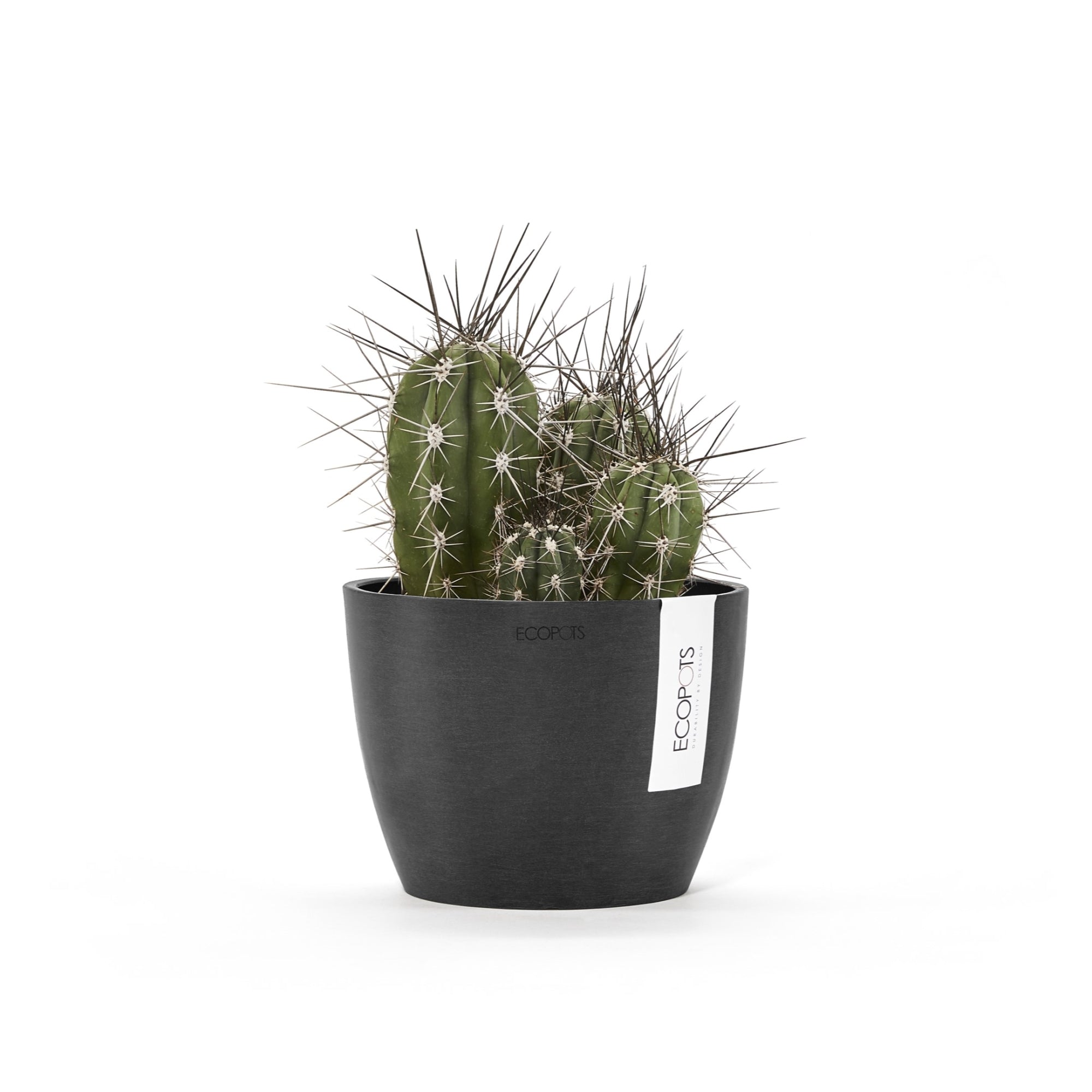 Ecopots Stockholm Mini Durable Modern Round Indoor/Outdoor Recycled-Based Composite Flower Pot Planter, 6"