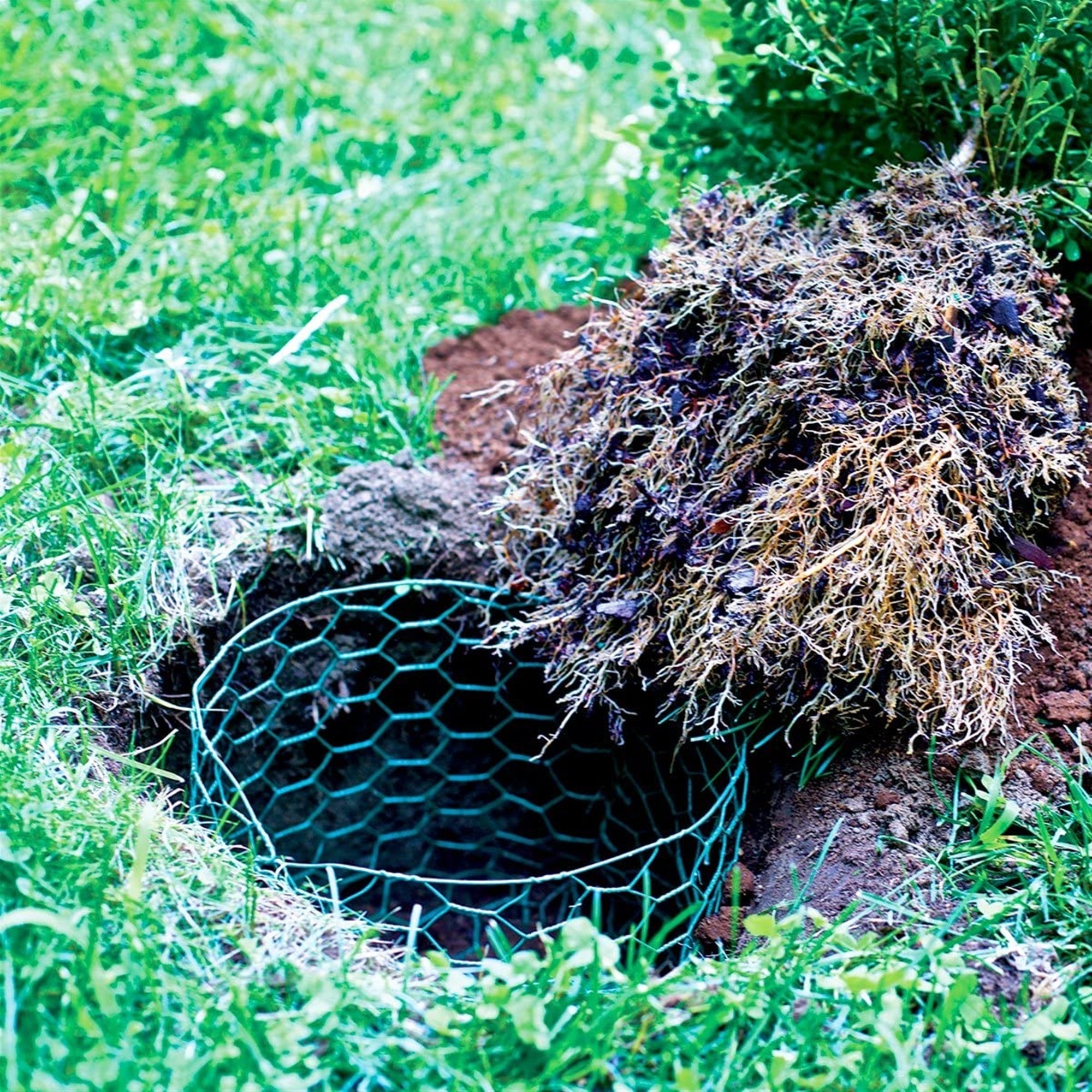 Garden Zone Poultry Netting 24 X 25' Steel Green Vinyl Coated