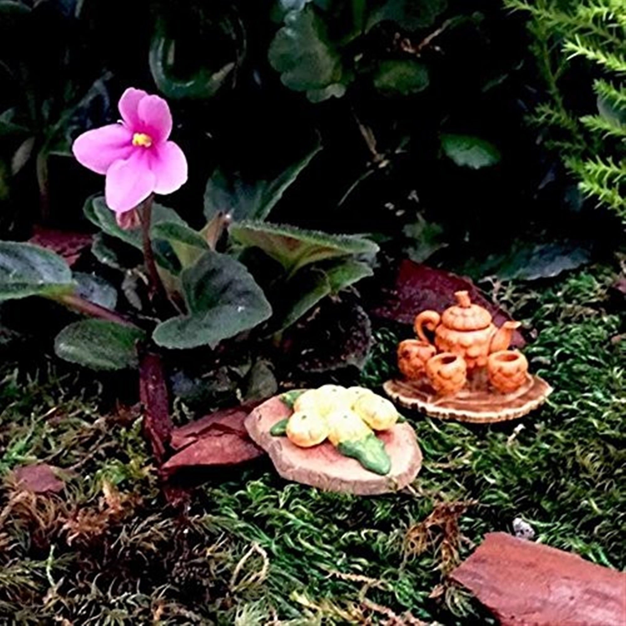 Flower Fairies Secret Garden Food Pack