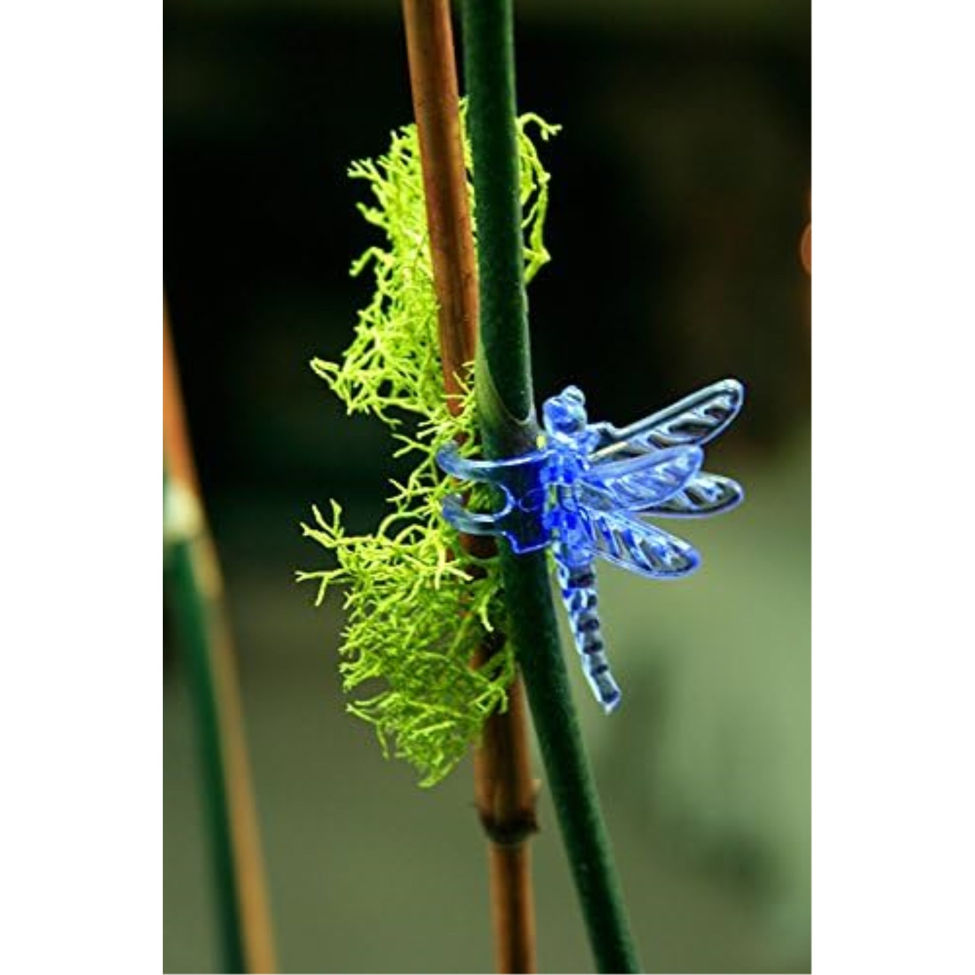 SuperMoss Dragonfly Orchid Training Clips, Assorted Colors, 16 Count