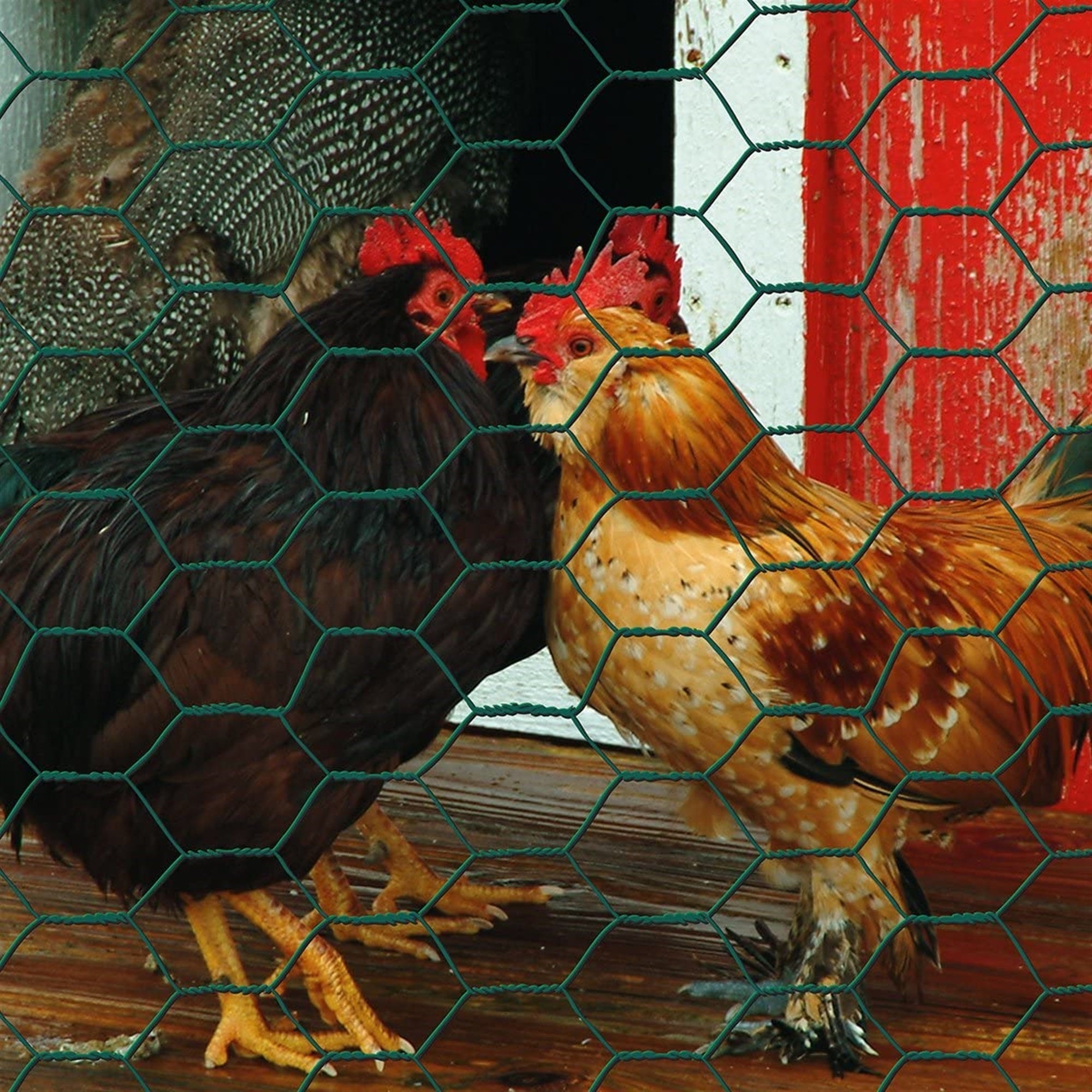 Garden Zone Poultry Netting 24 X 25' Steel Green Vinyl Coated