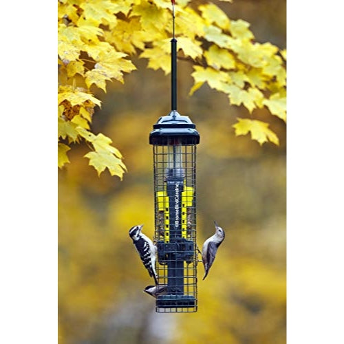 Brome Squirrel Buster Suet Bird Feeder — Squirrel-Proof Cage — Holds 2 Suet Cakes, Green, 18.6" H