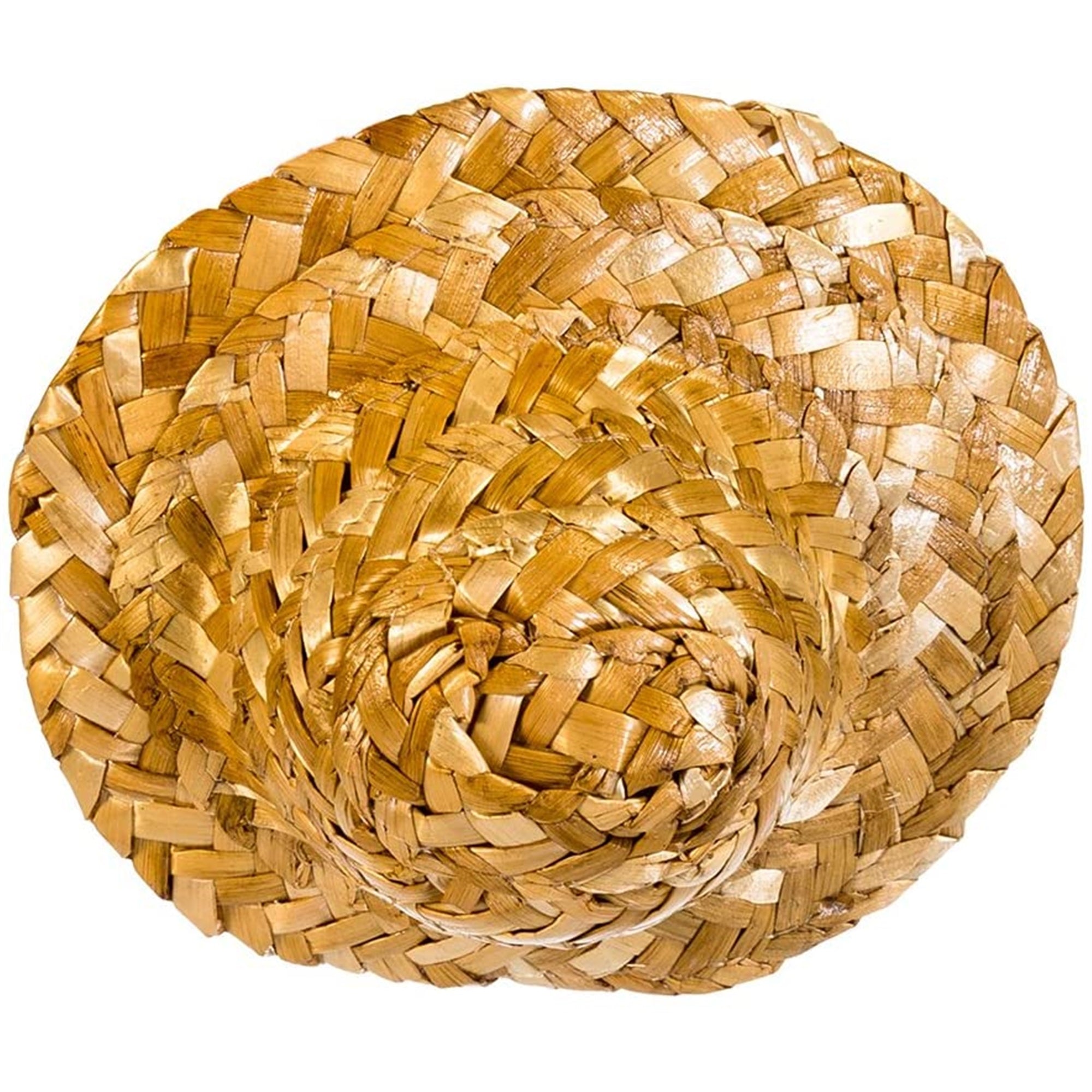 Kurt Adler Surfer Santa Nutcracker, 8"