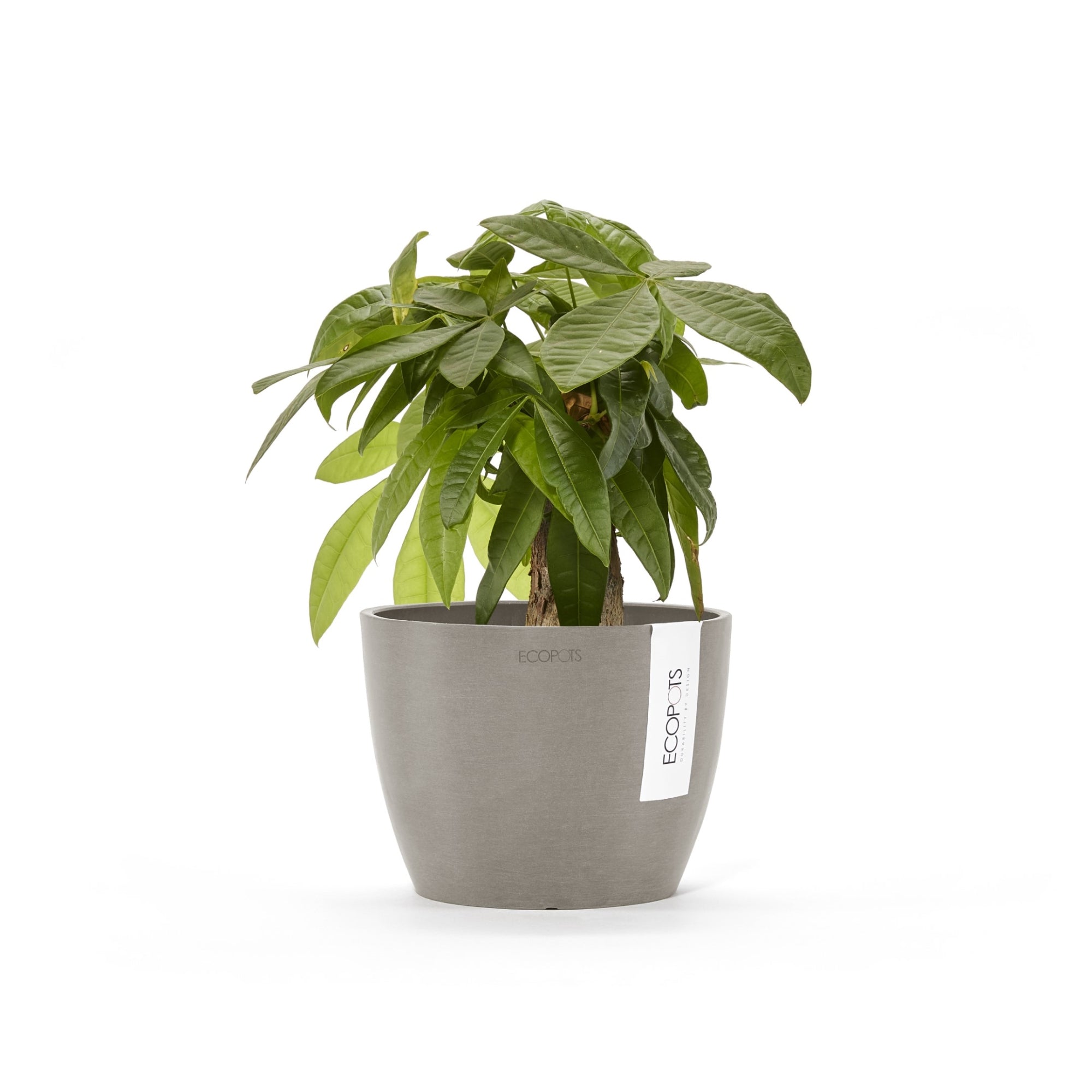 Ecopots Stockholm Mini Durable Modern Round Indoor/Outdoor Recycled-Based Composite Flower Pot Planter, 6"