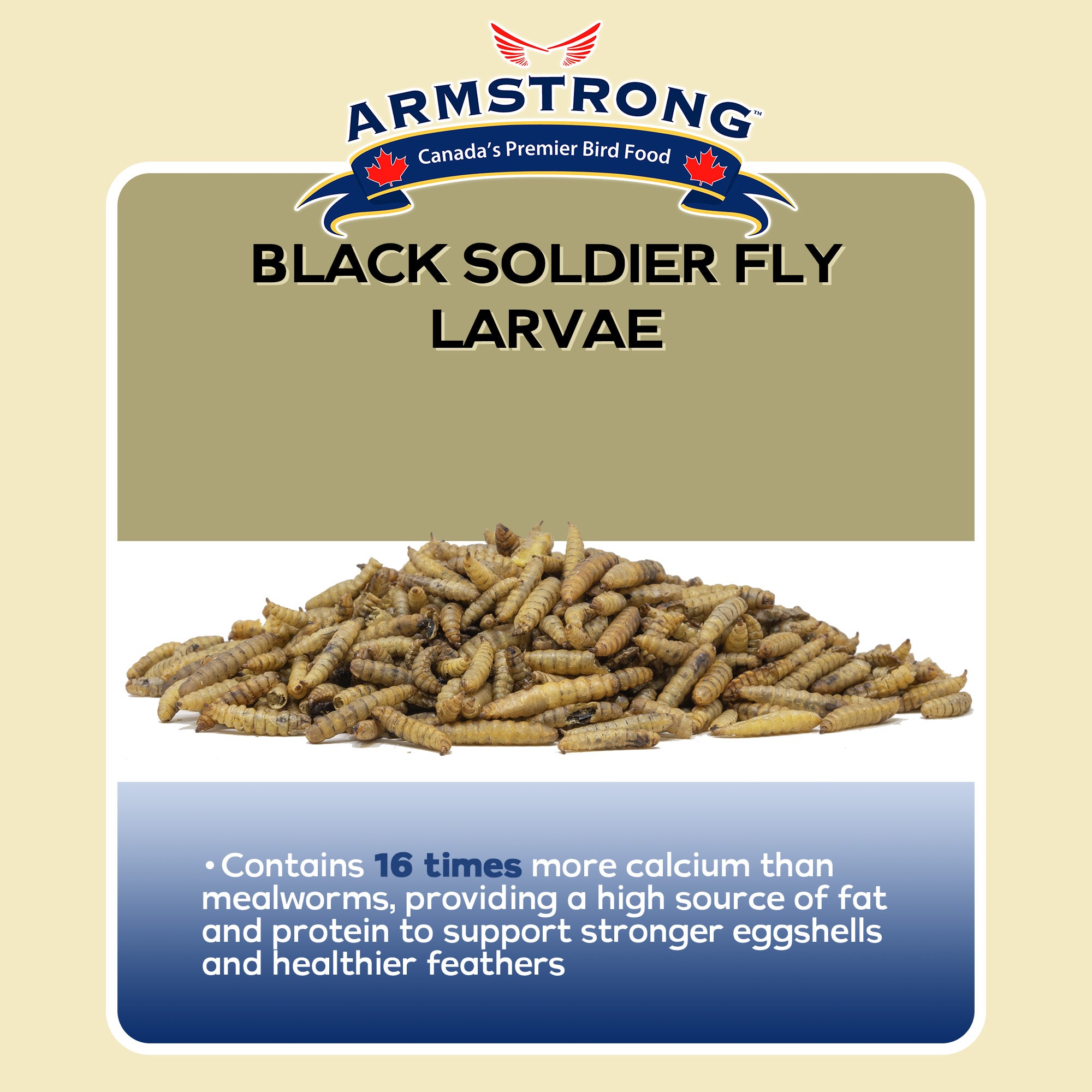 Armstrong Wild Bird Food Black Soldier Fly Larvae, 4lbs