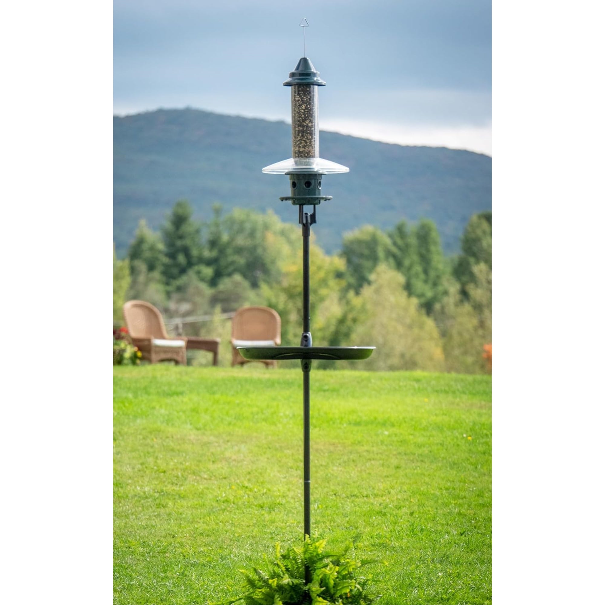 Brome BirdsUP Single Pole Kit for Wild Bird Feeders, Black, 1"