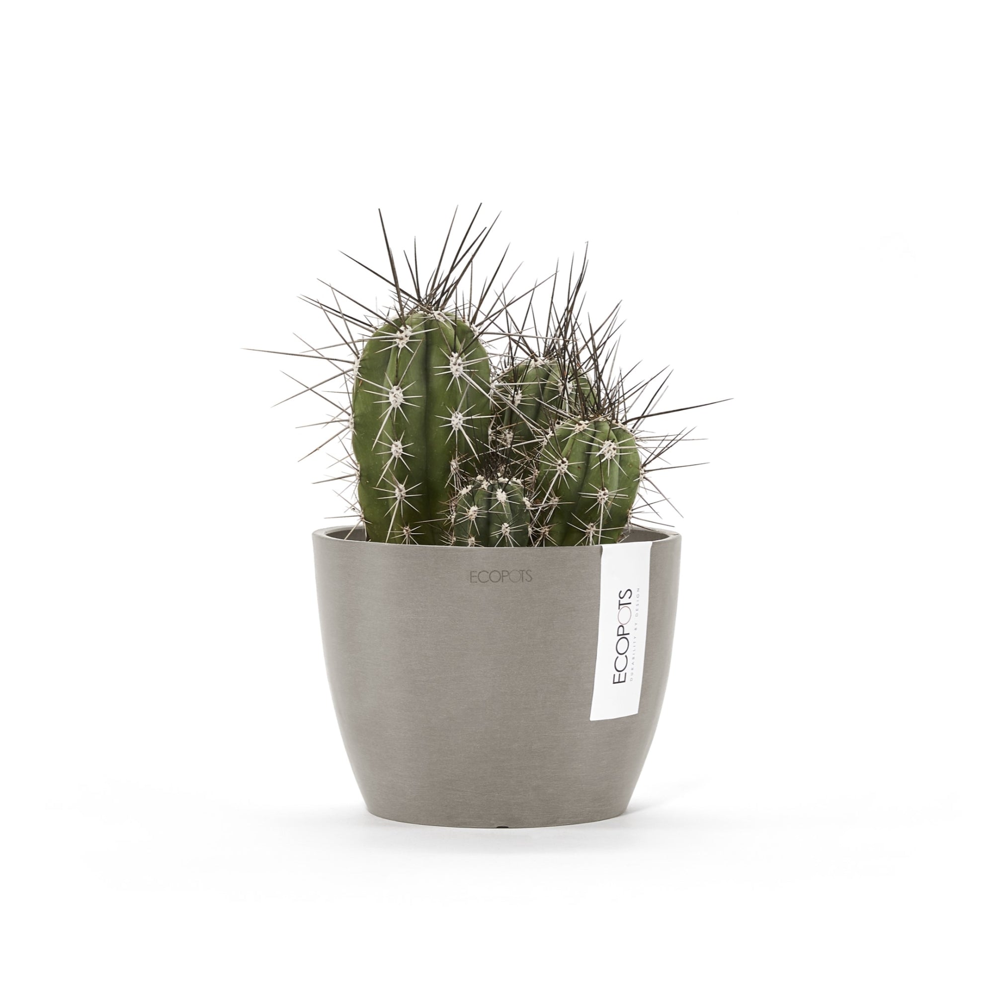 Ecopots Stockholm Mini Durable Modern Round Indoor/Outdoor Recycled-Based Composite Flower Pot Planter, 6"