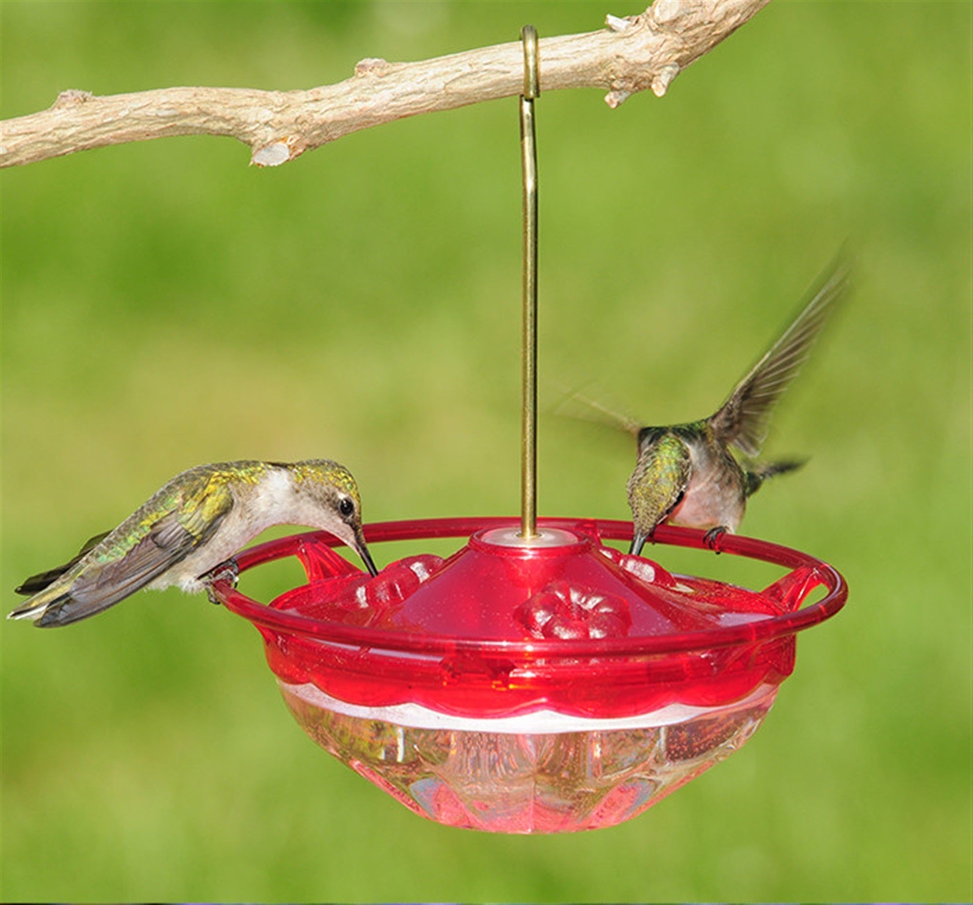 Aspects HummZinger HummBlossom Nectar Bird Feeder with 3 Feeding Ports, 4oz Capacity