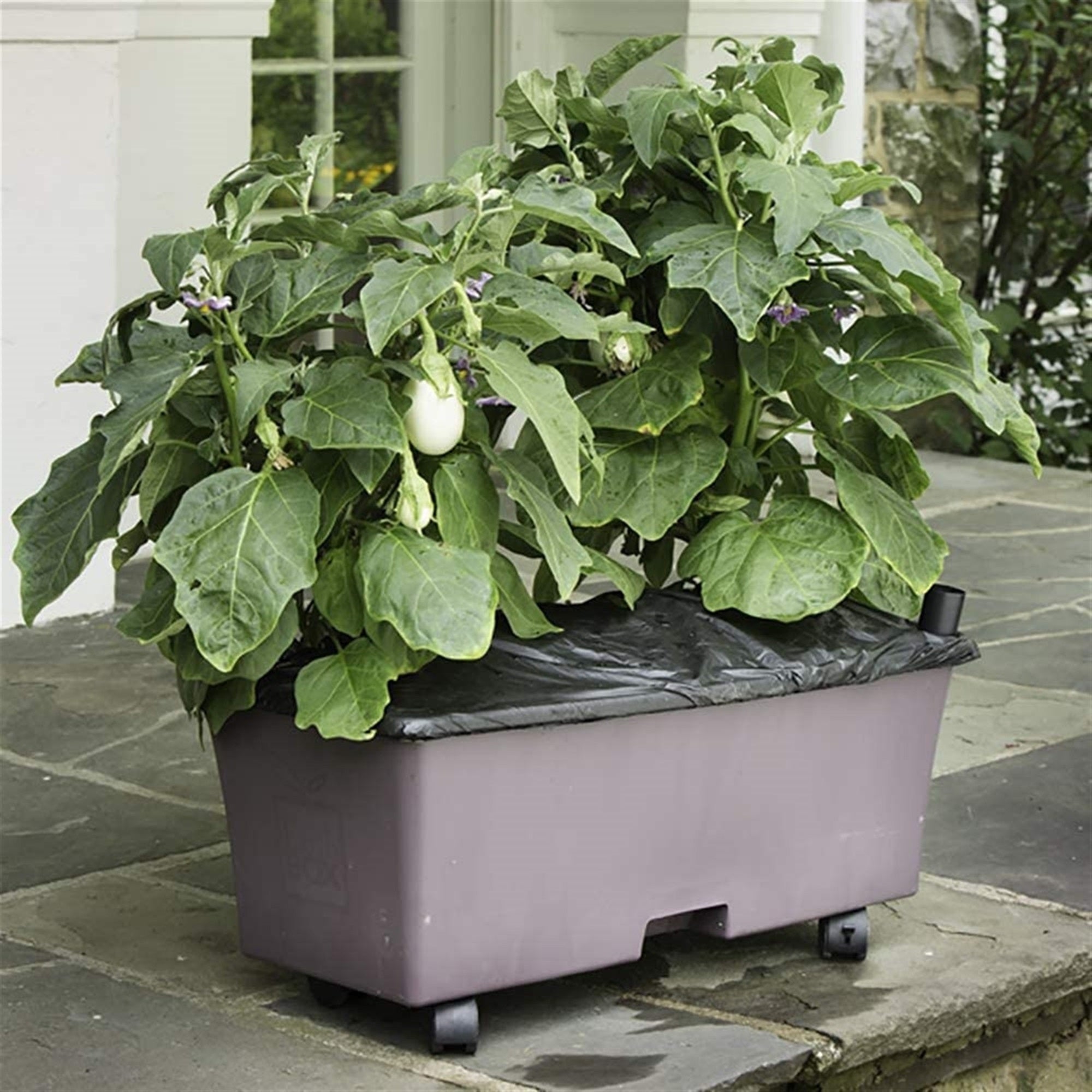 Novelty EarthBox Self-Watering Growing System Garden Kit