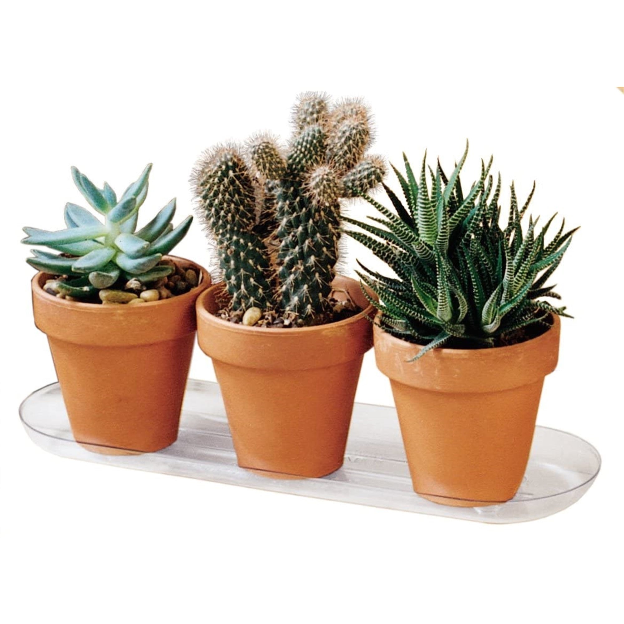 Plastec Plantpak Oval Saucer, Clear, 18"L x 6" W