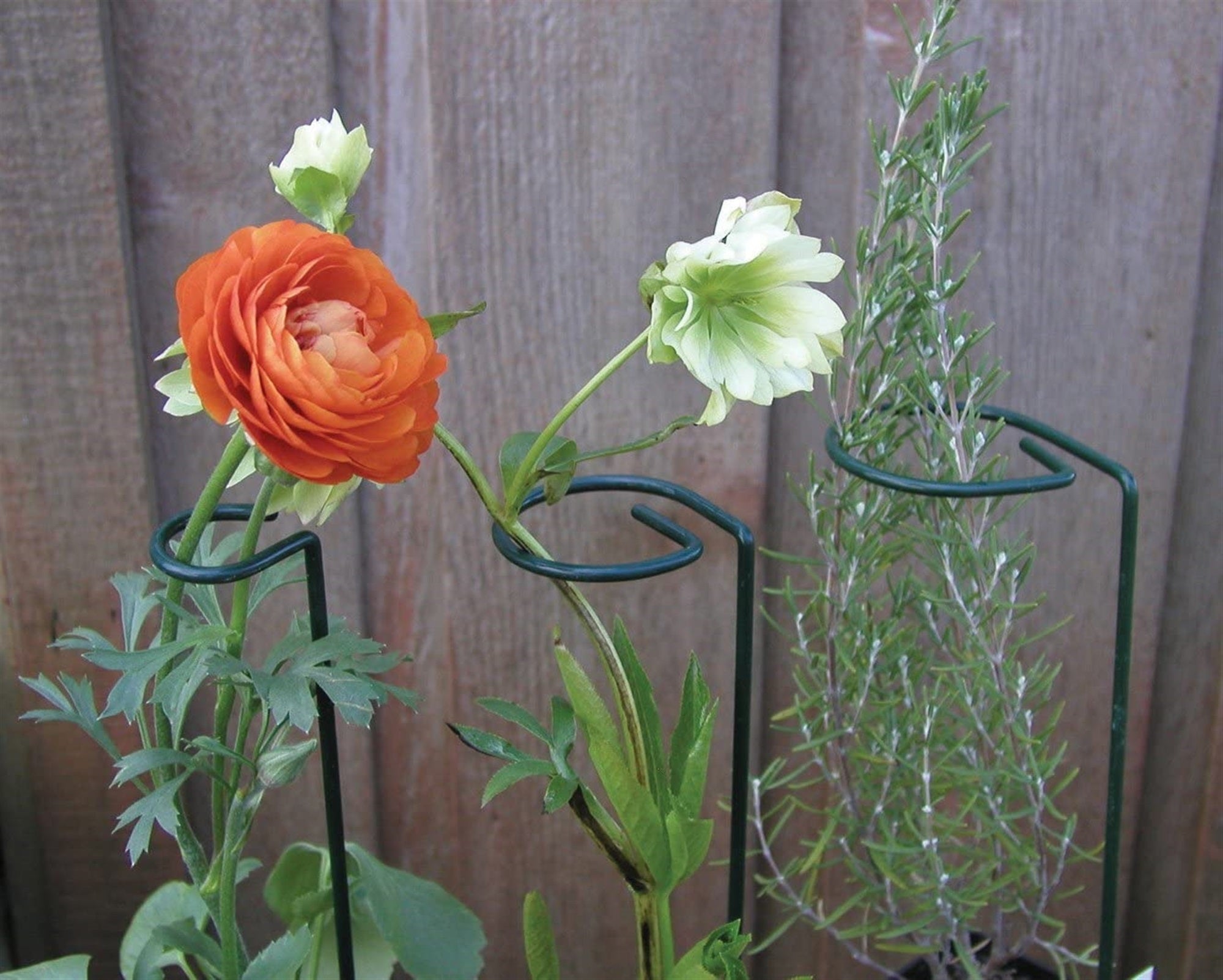 Luster Leaf Link-Ups Metal Flower Plant Prop for Gardens and Flower Beds - 3" Ring x 44"H, Green