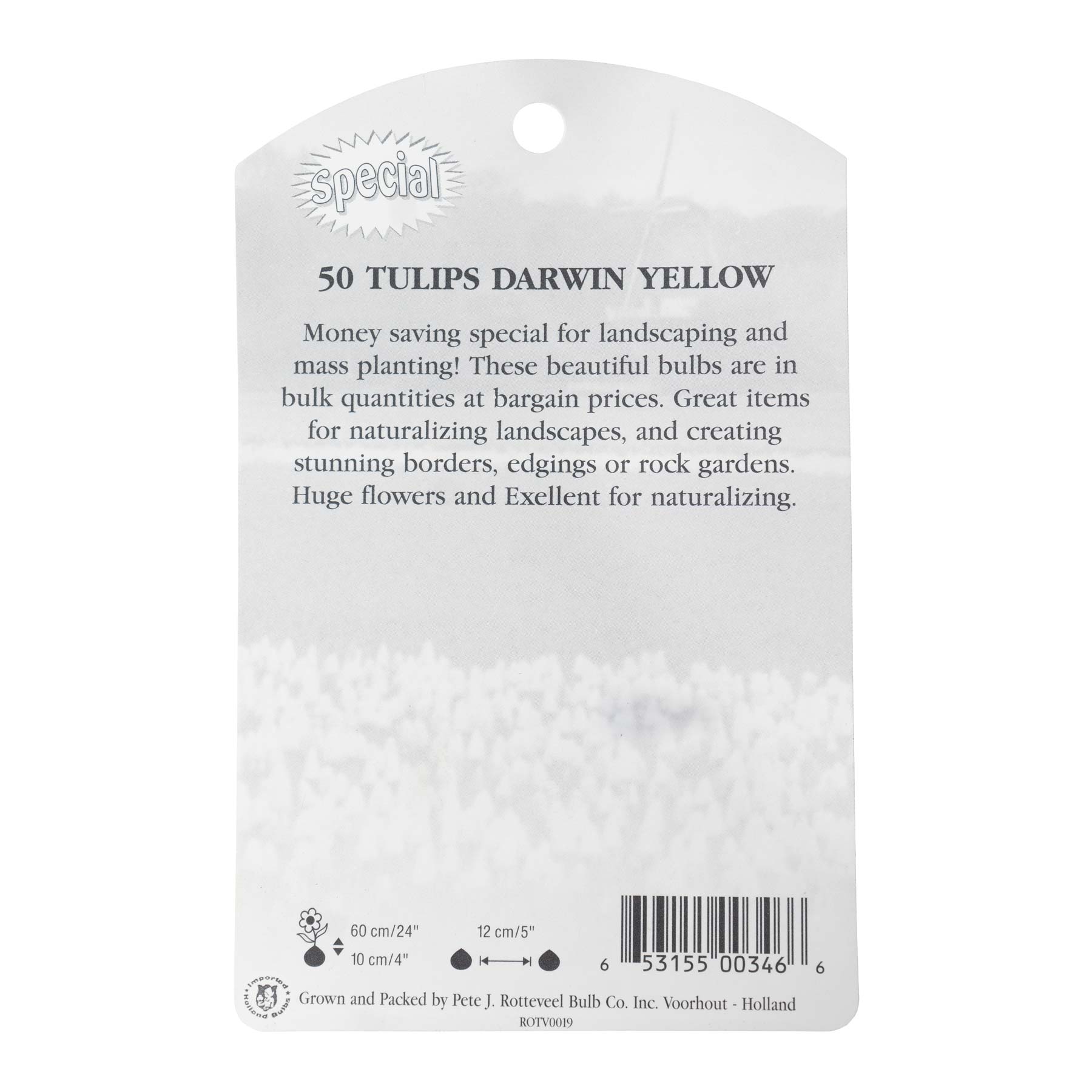 Garden Elements Spring Blooming Bulbs – Darwin Tulip, Big Smile, Yellow – 50 Pack