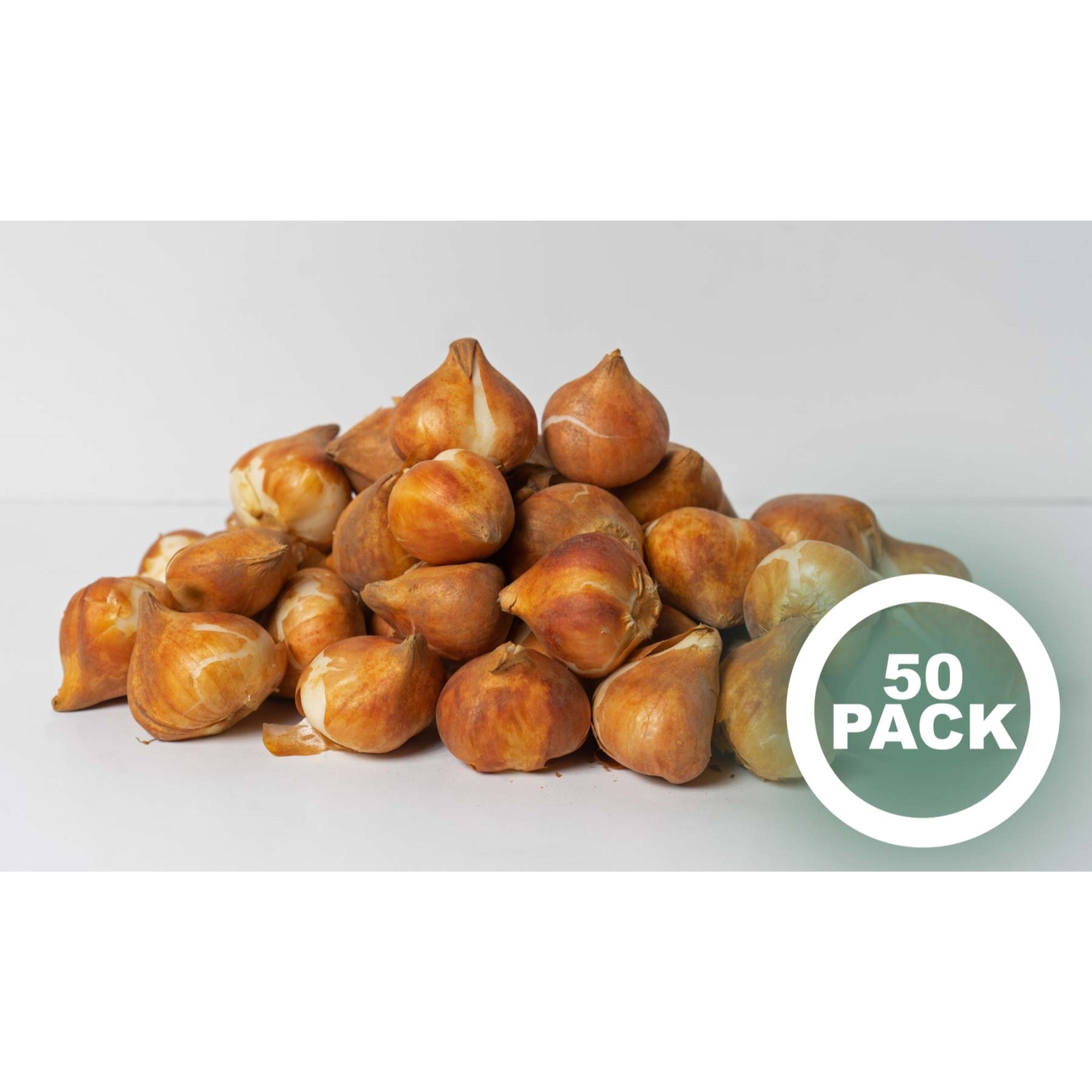 Garden Elements Spring Blooming Bulbs – Darwin Tulip, Red Impression – 50 Pack