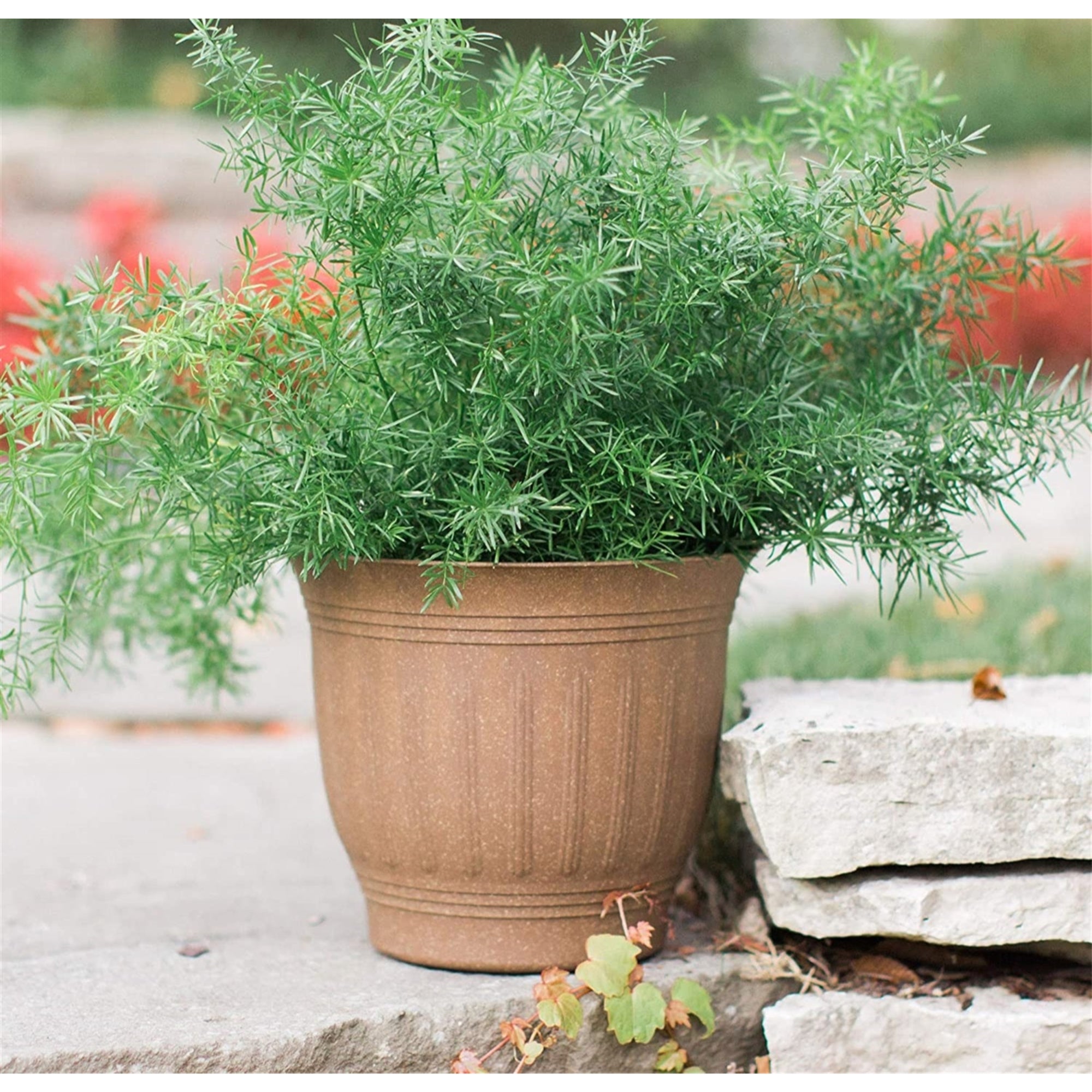Bloem Colonnade Wood-Resin Planter, Drainage Holes, Earth Brown 12"
