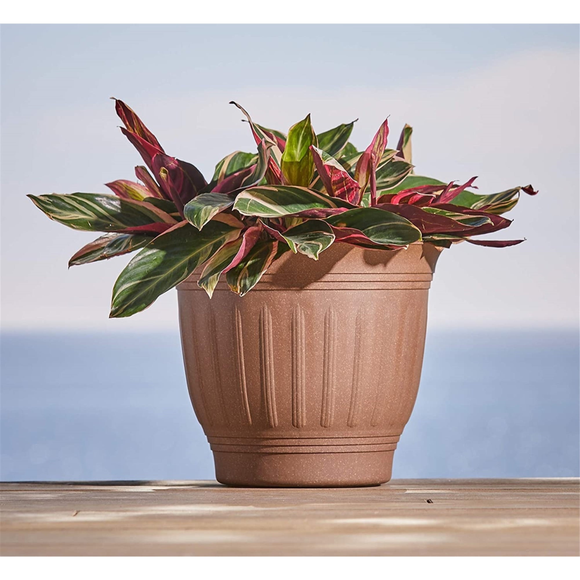 Bloem Colonnade Wood-Resin Planter, Drainage Holes, Earth Brown 12"