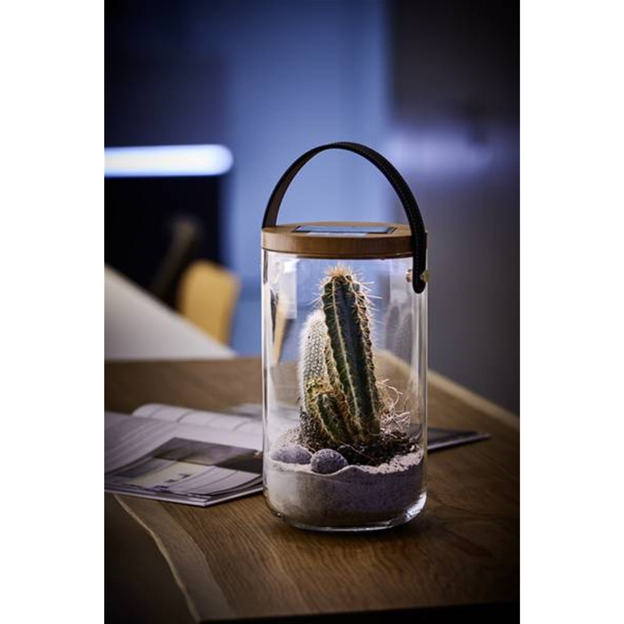 Krinner Lumix Solar-Powered Home Decoration Glass LED Display Jar, 11in