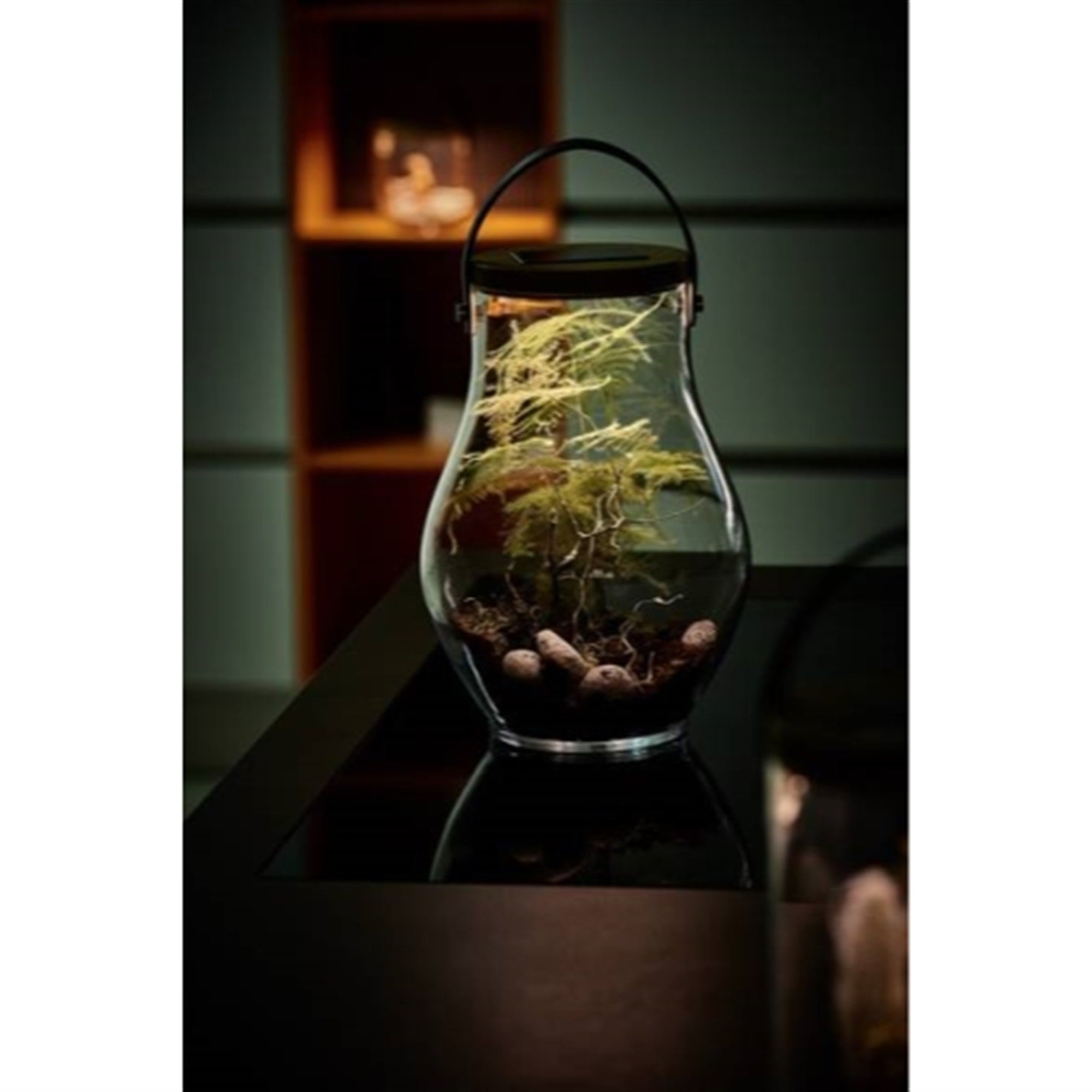 Krinner Lumix Solar-Powered Home Decoration Glass LED Display Jar, 13.5in