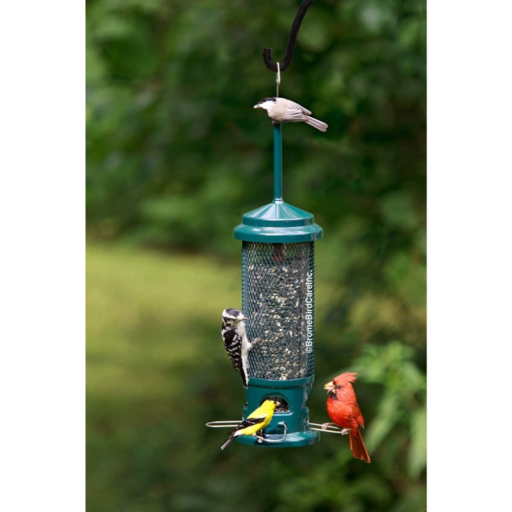 Squirrel Buster Legacy Squirrel-Proof Bird Feeder with 4 Feeding Perches, 2.6lb Seed Capacity