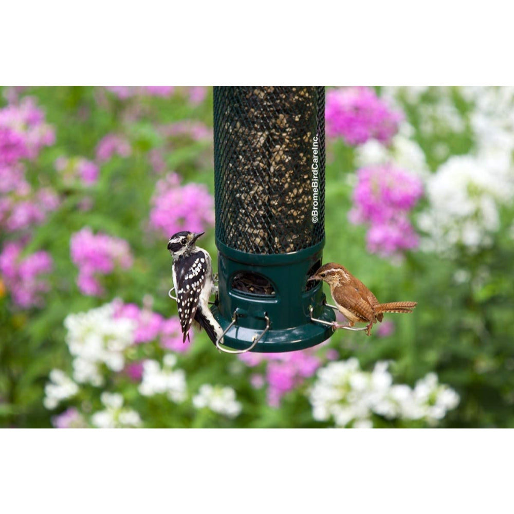 Squirrel Buster Legacy Squirrel-Proof Bird Feeder with 4 Feeding Perches, 2.6lb Seed Capacity